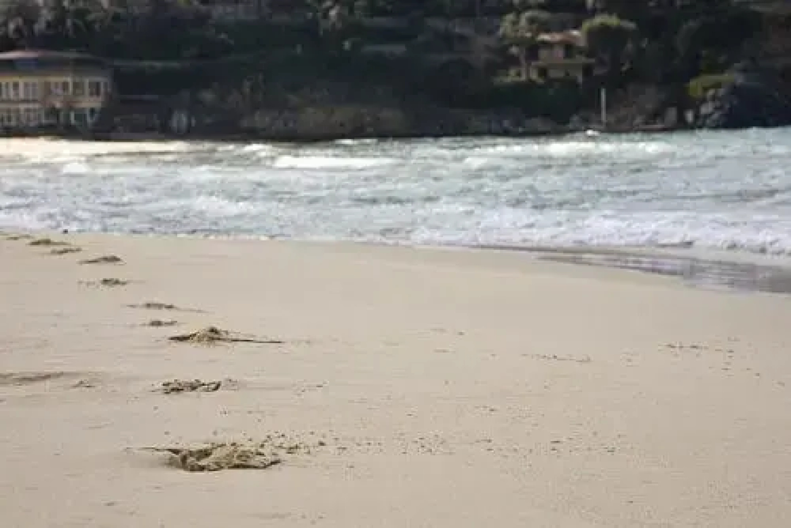 Villetta Biodola Beach