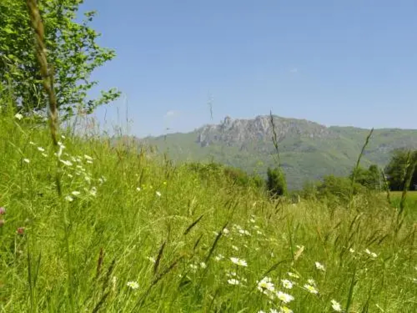 Albergo Hotel Tesserete