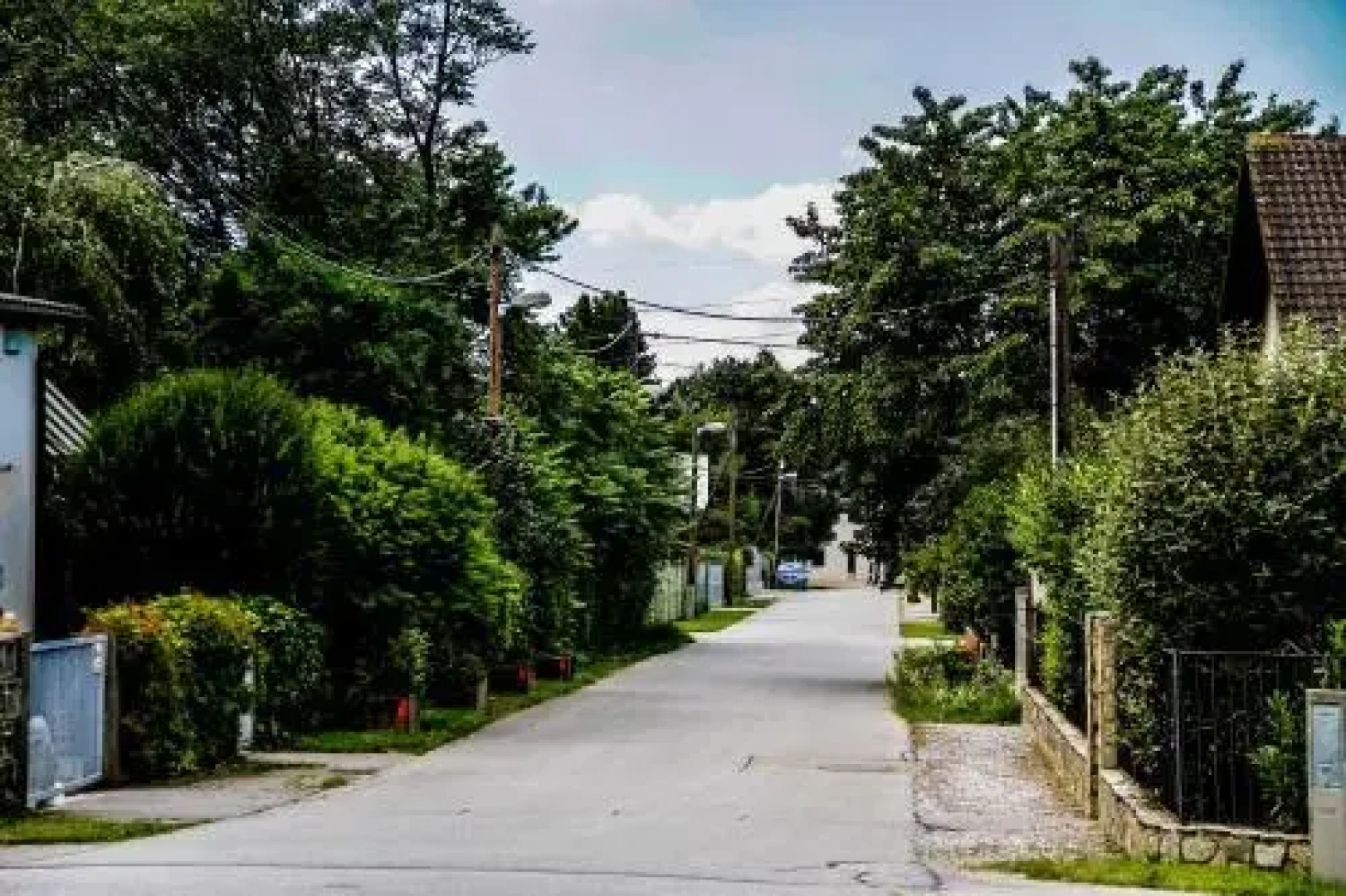 Chicken King's Rooms