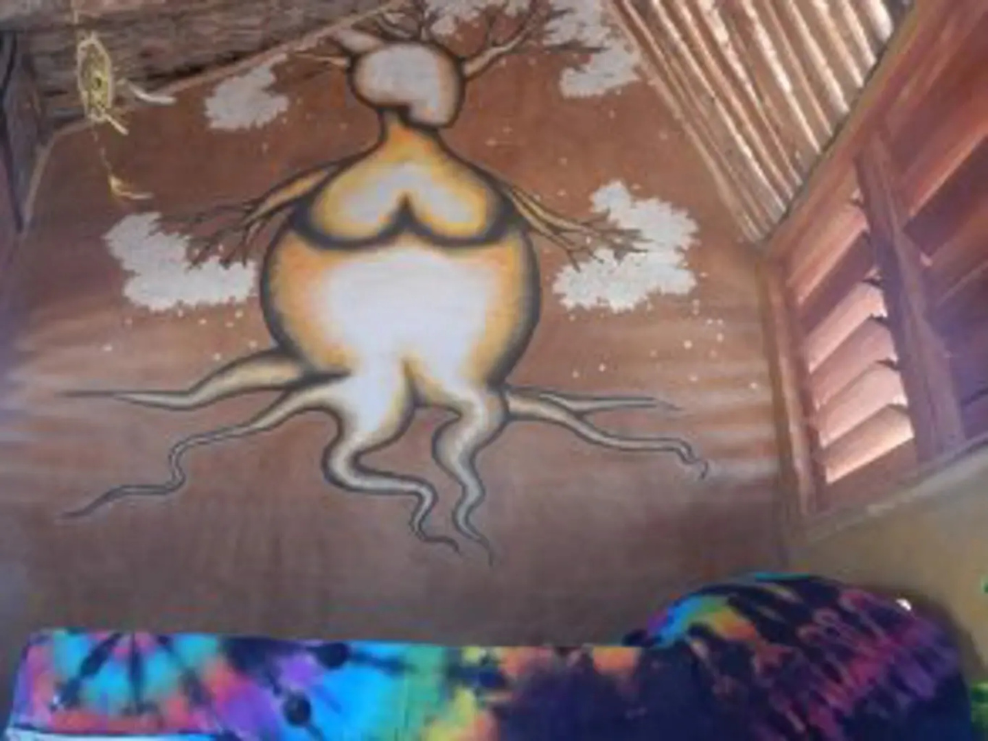 Raízes Eco Hostel