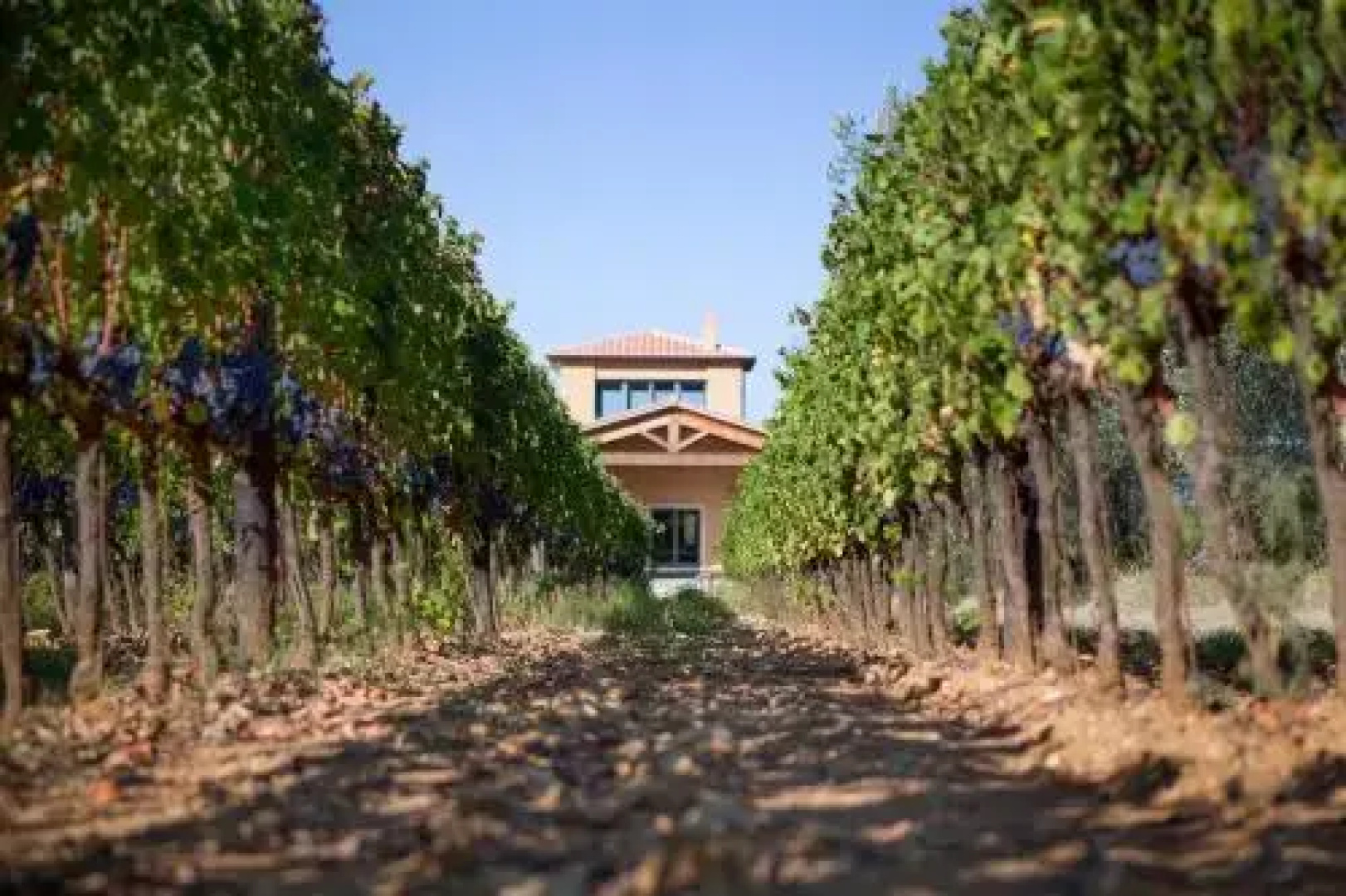 Agriturismo Tra Gli Ulivi