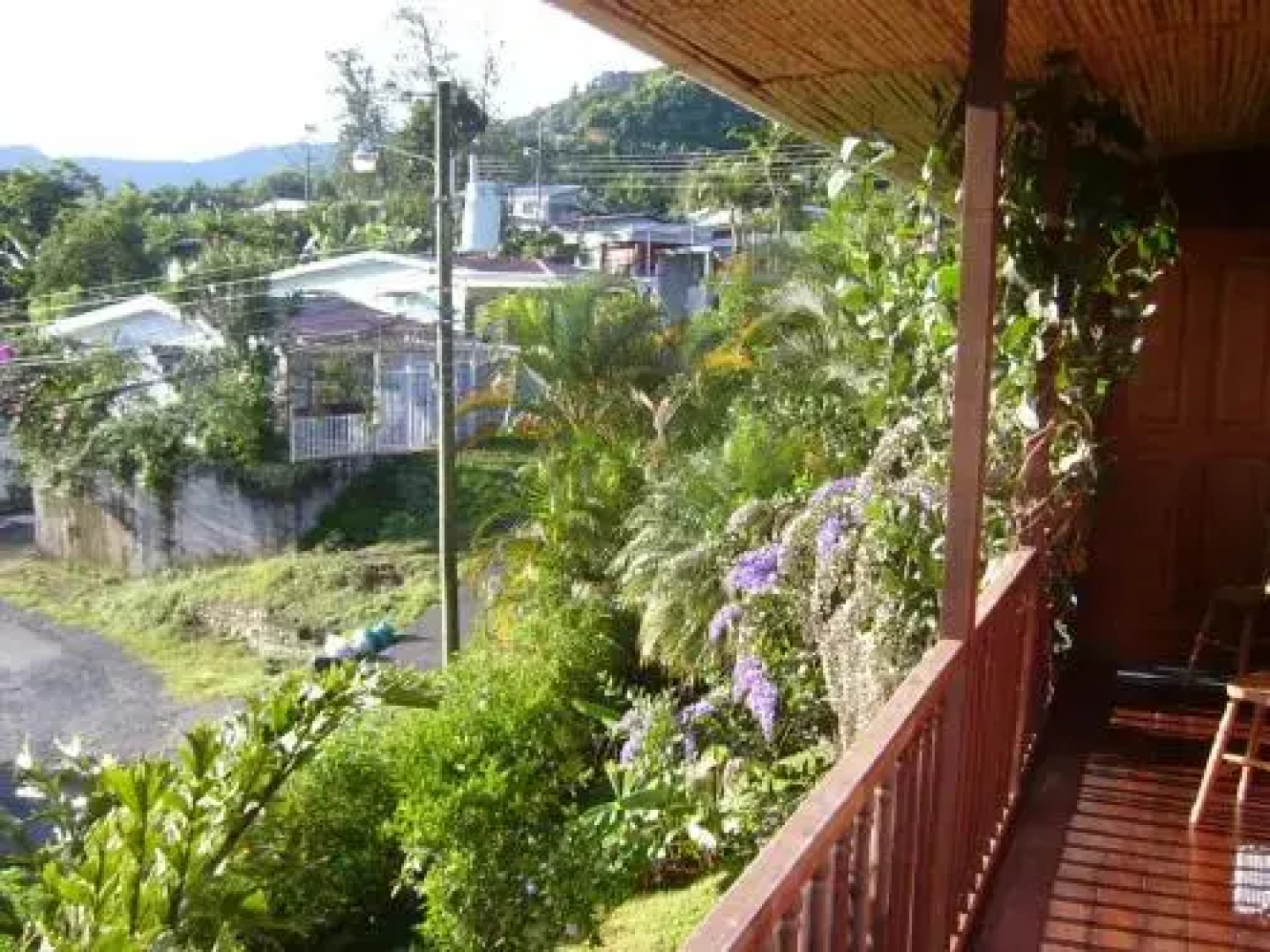 Montaña Linda Guest House Orosi