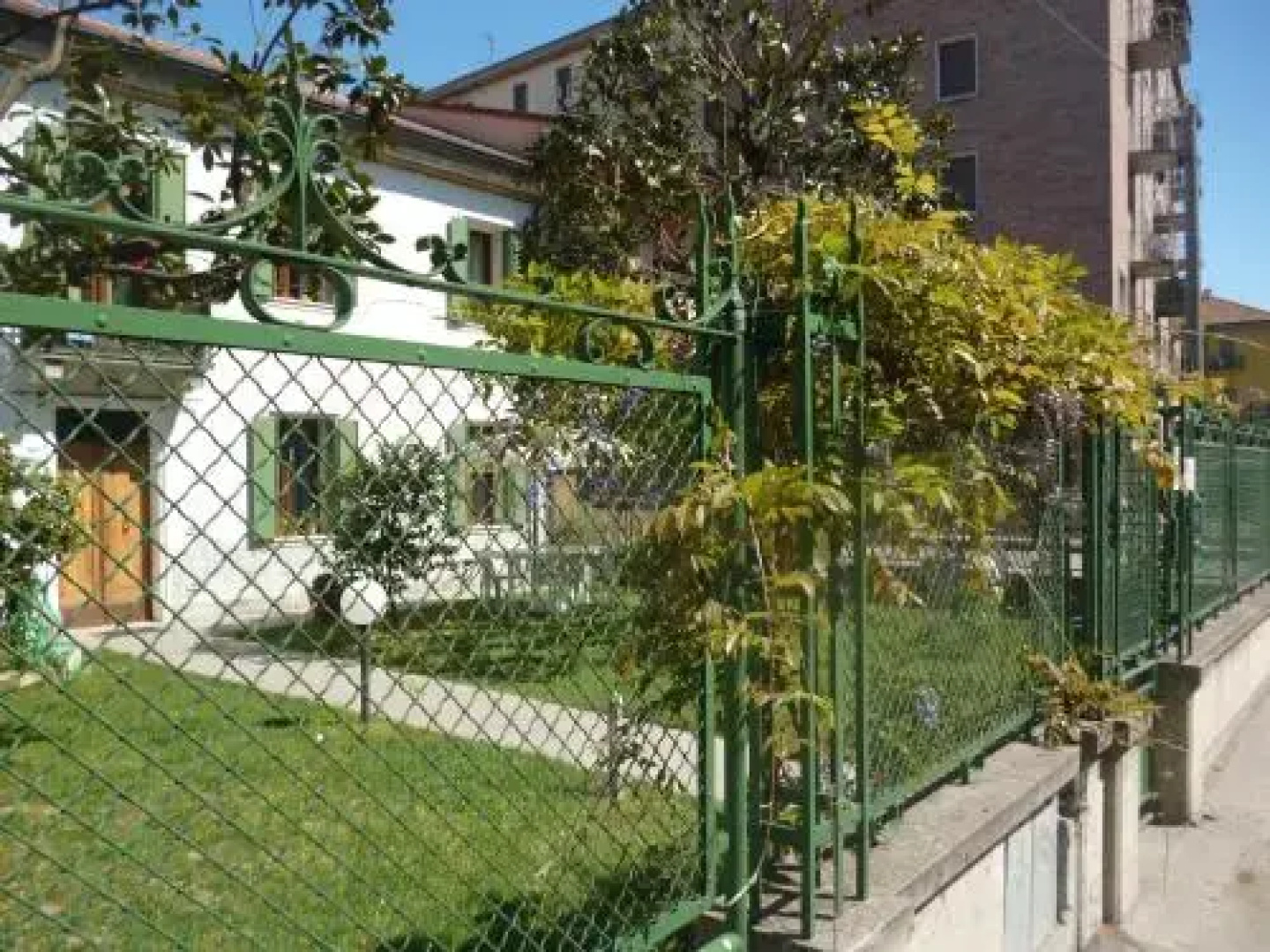 Il Glicine