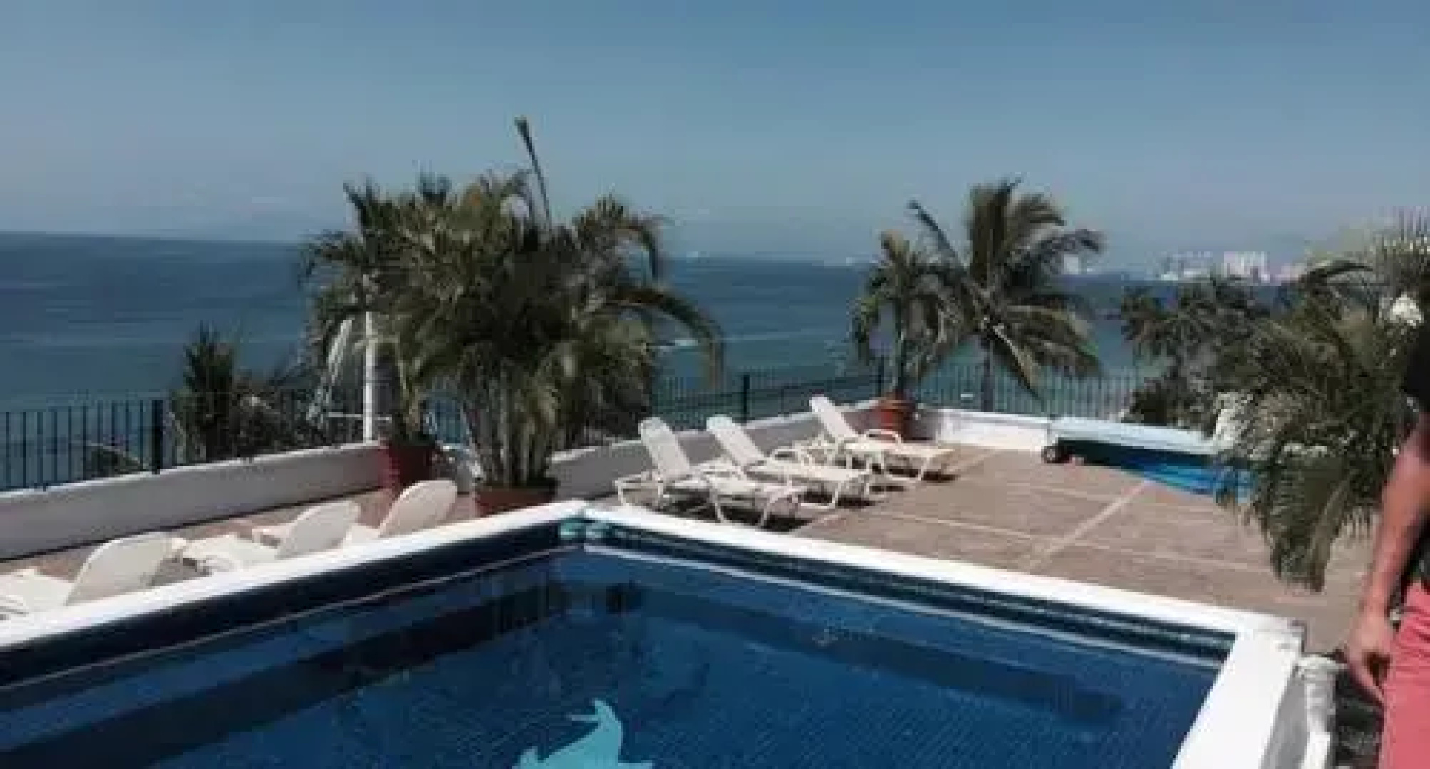 La Palapa