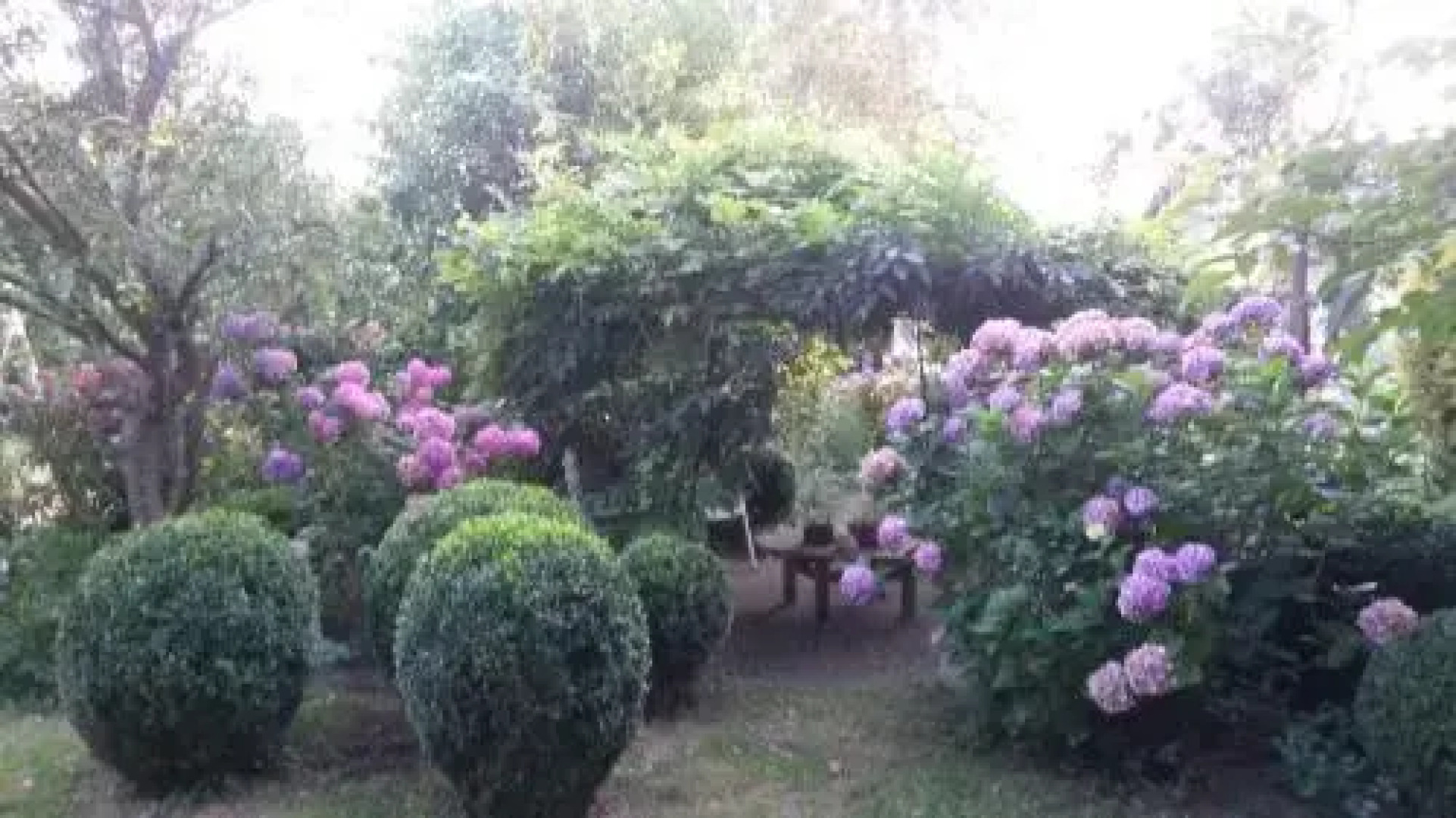 B & B het groene hart