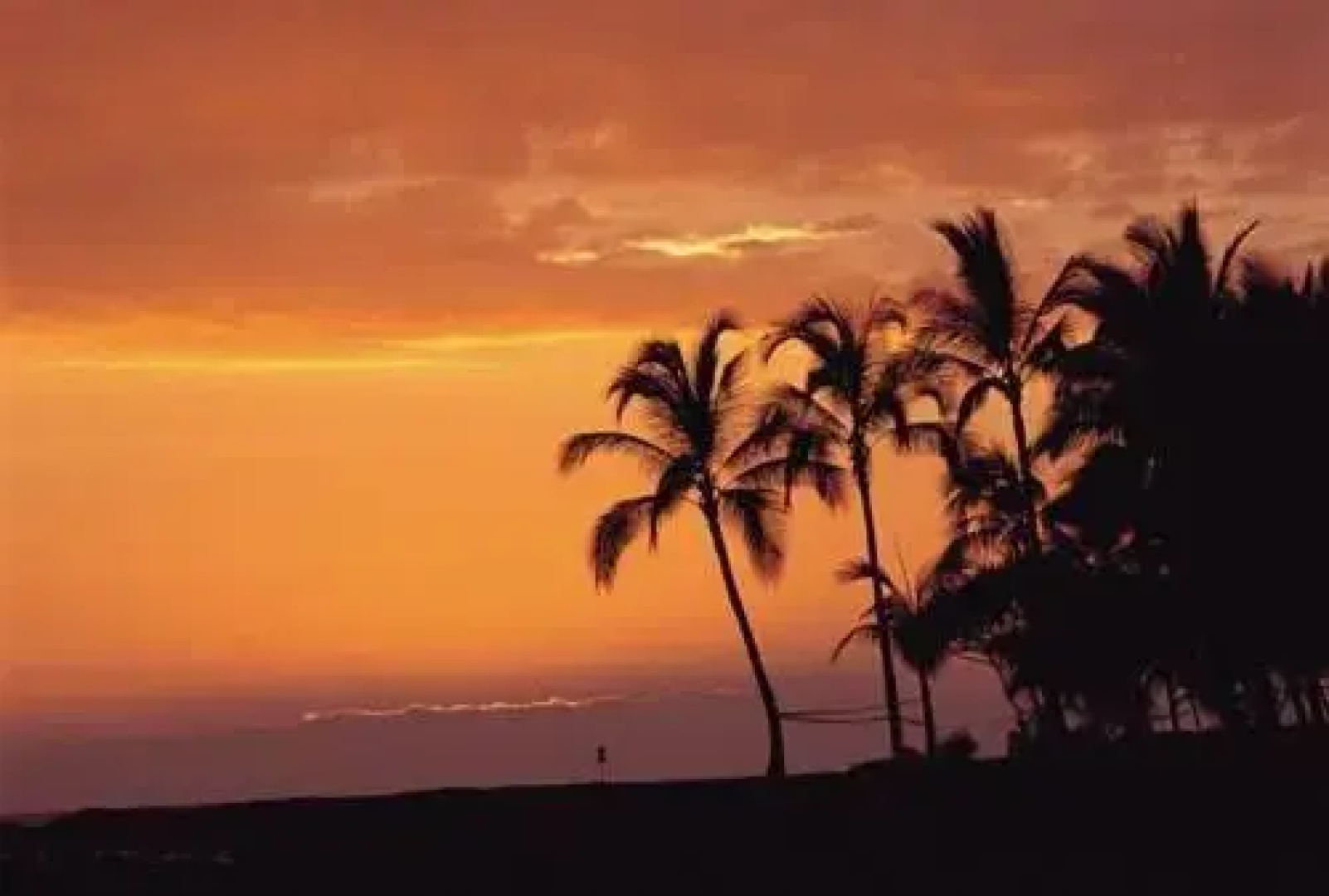 Vacation Internationale Papakea