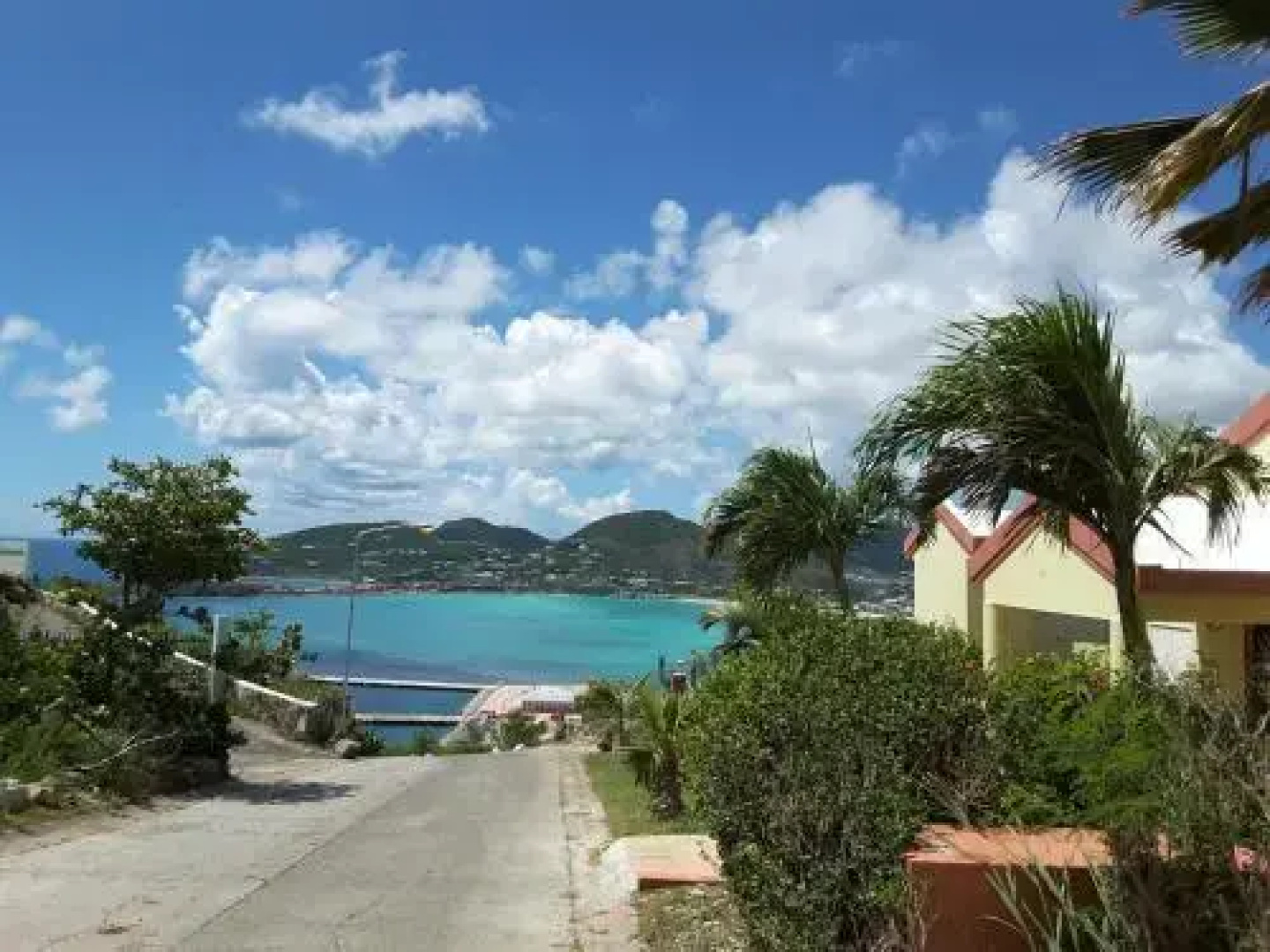Monta Vista