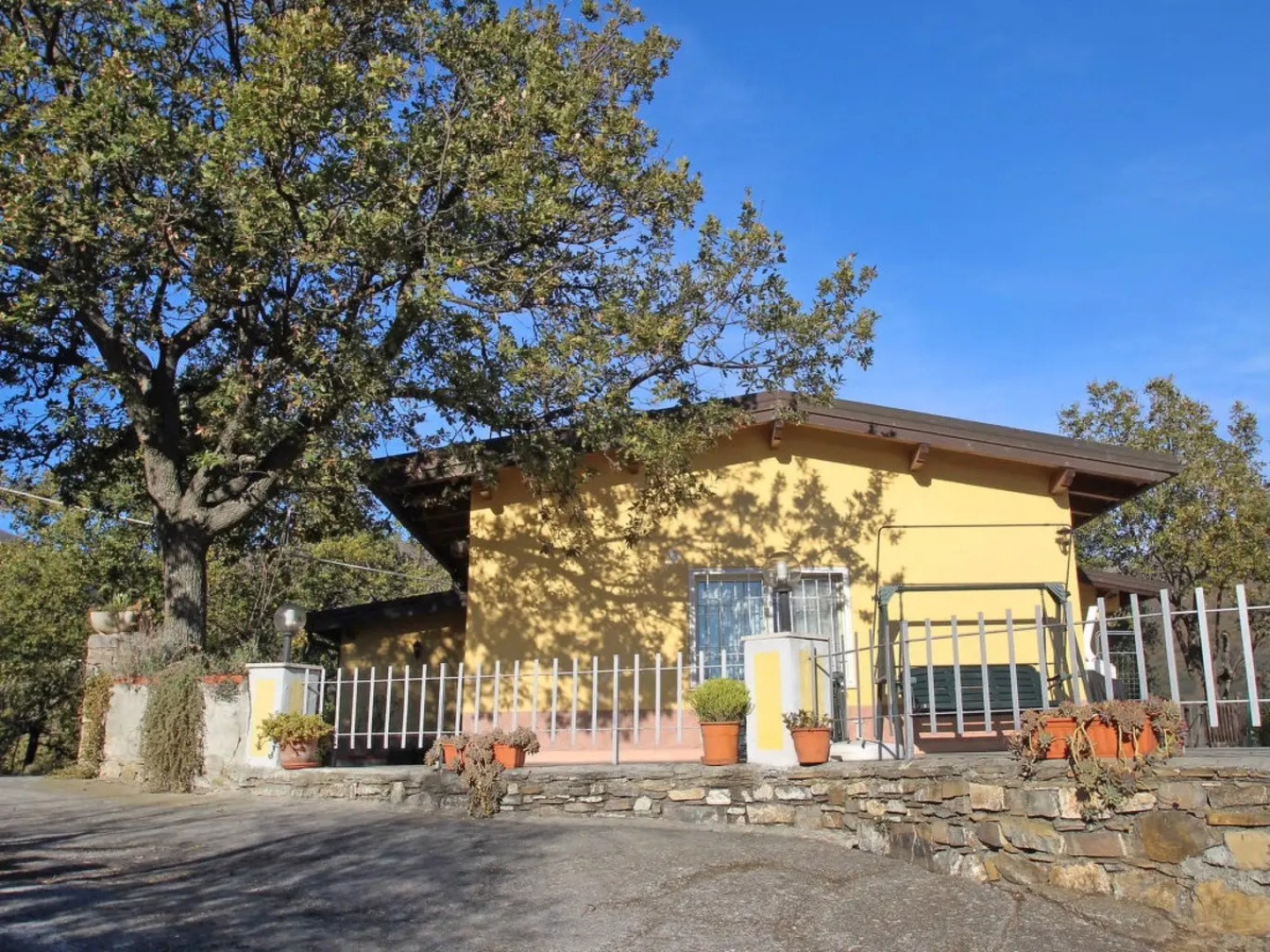 Arentino - INH 22443