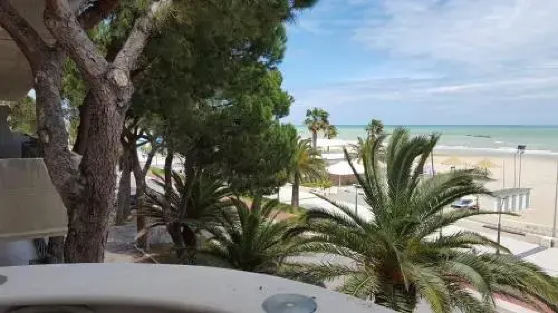 Pini sul Mare