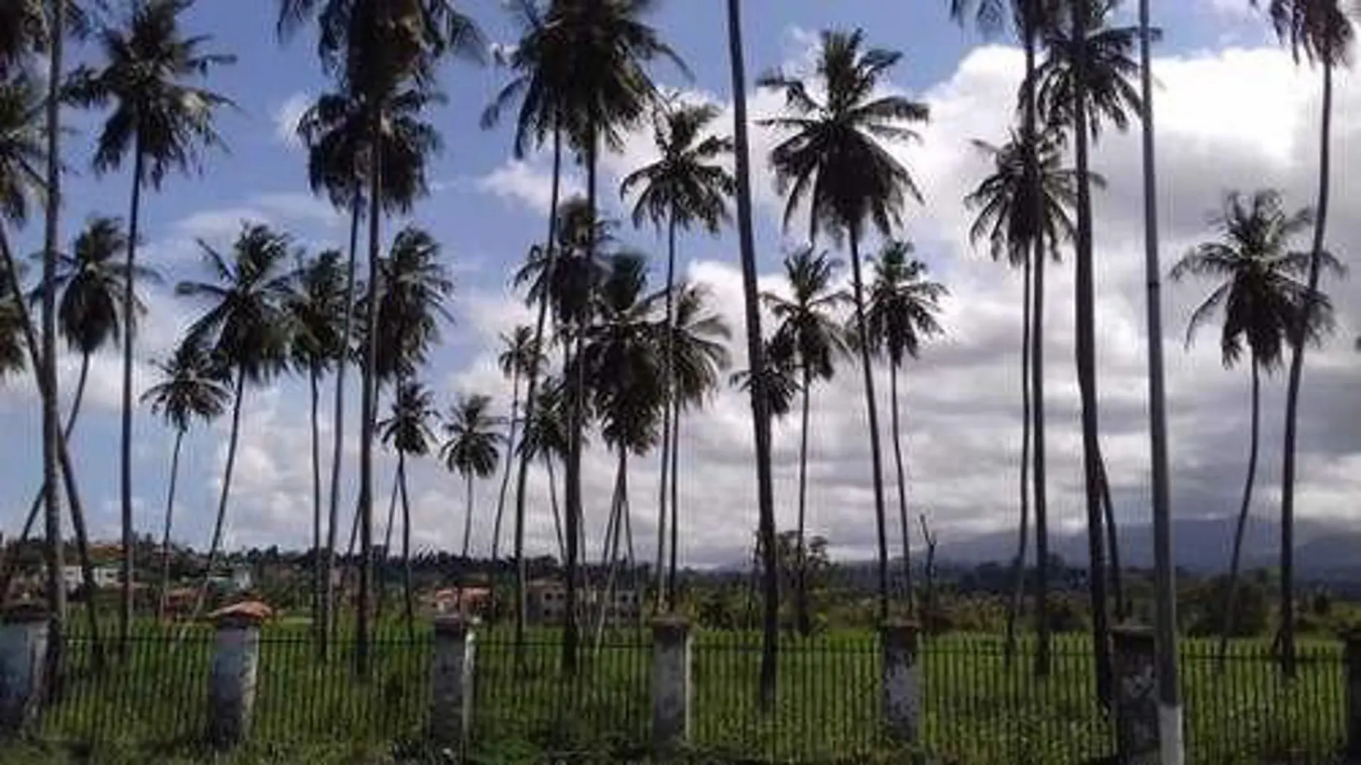 Residencial Nossa Senhora Da Conceição