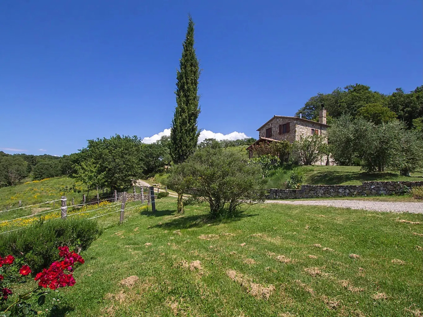 Casalini - Inh 22599