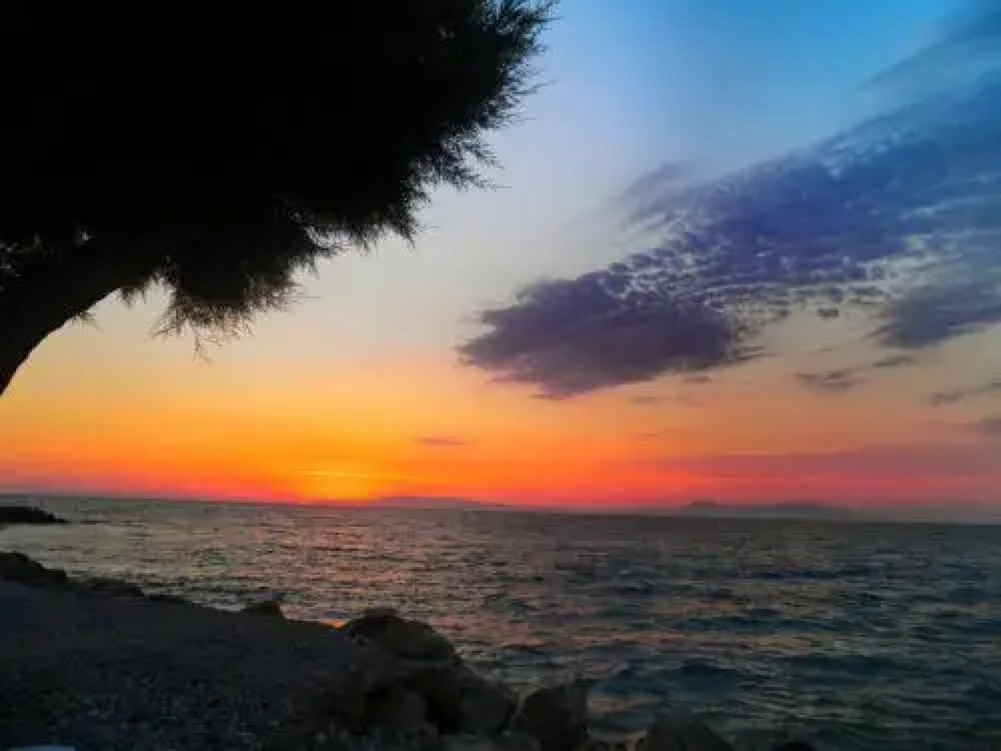 Alexia Apartments & Studios