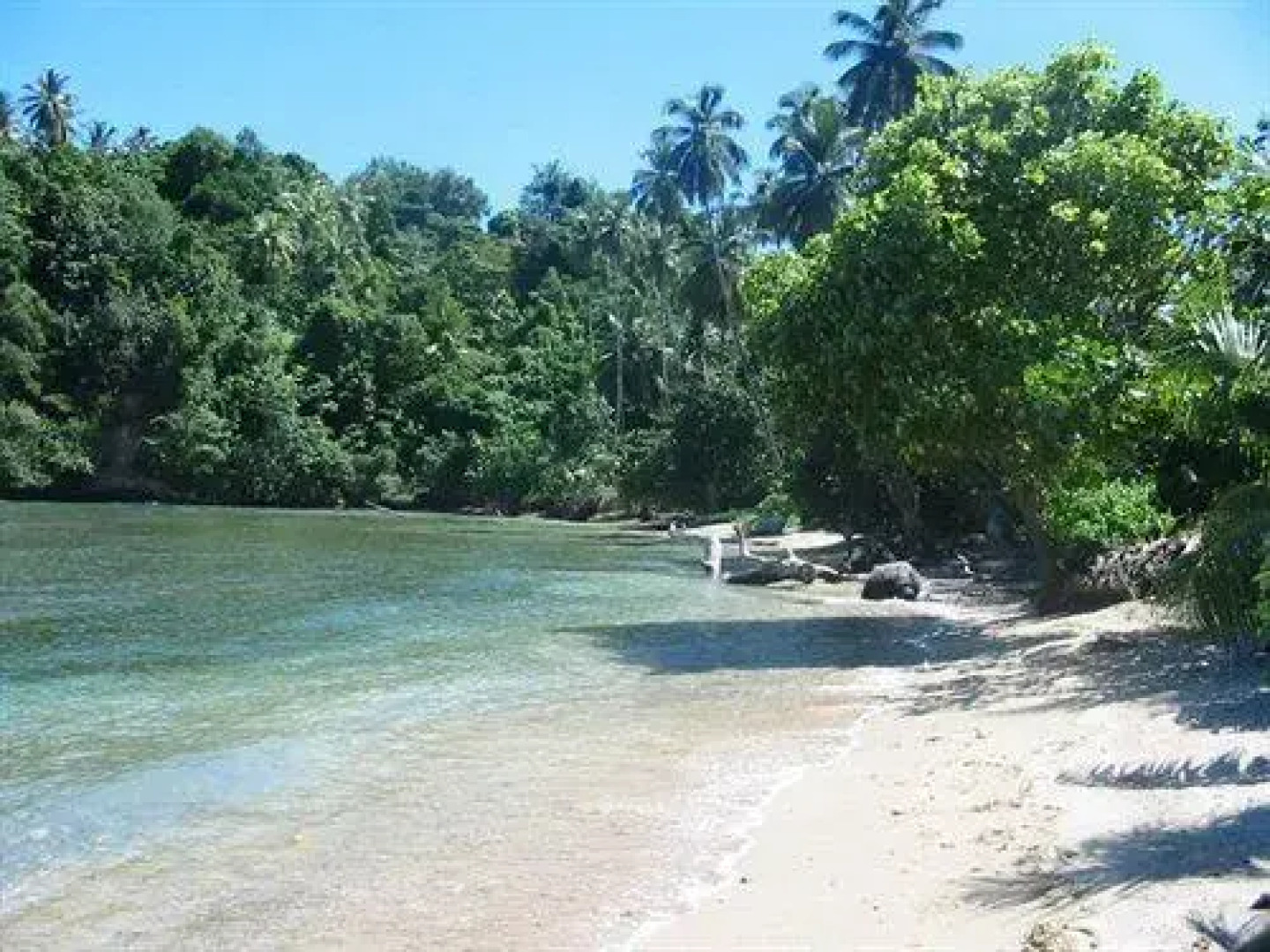 Dominica's Sea View Apartment