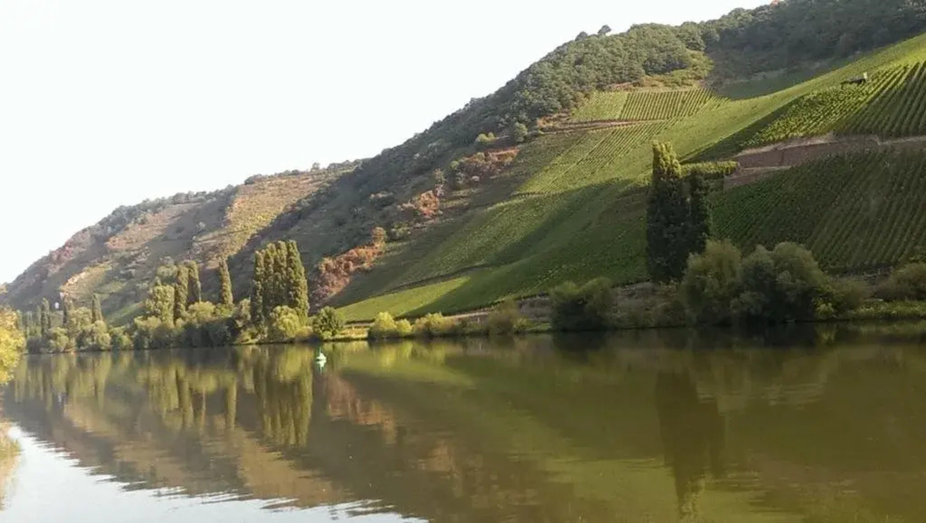 Weingut & Gästehaus Bernhard Eifel