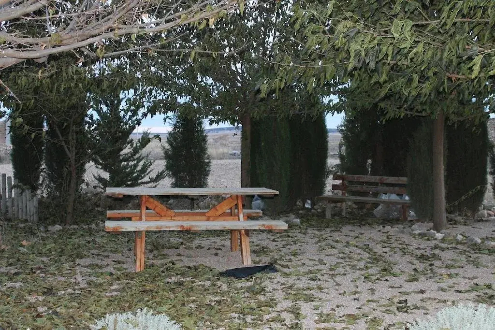 Apartahotel Laguna de Gallocanta