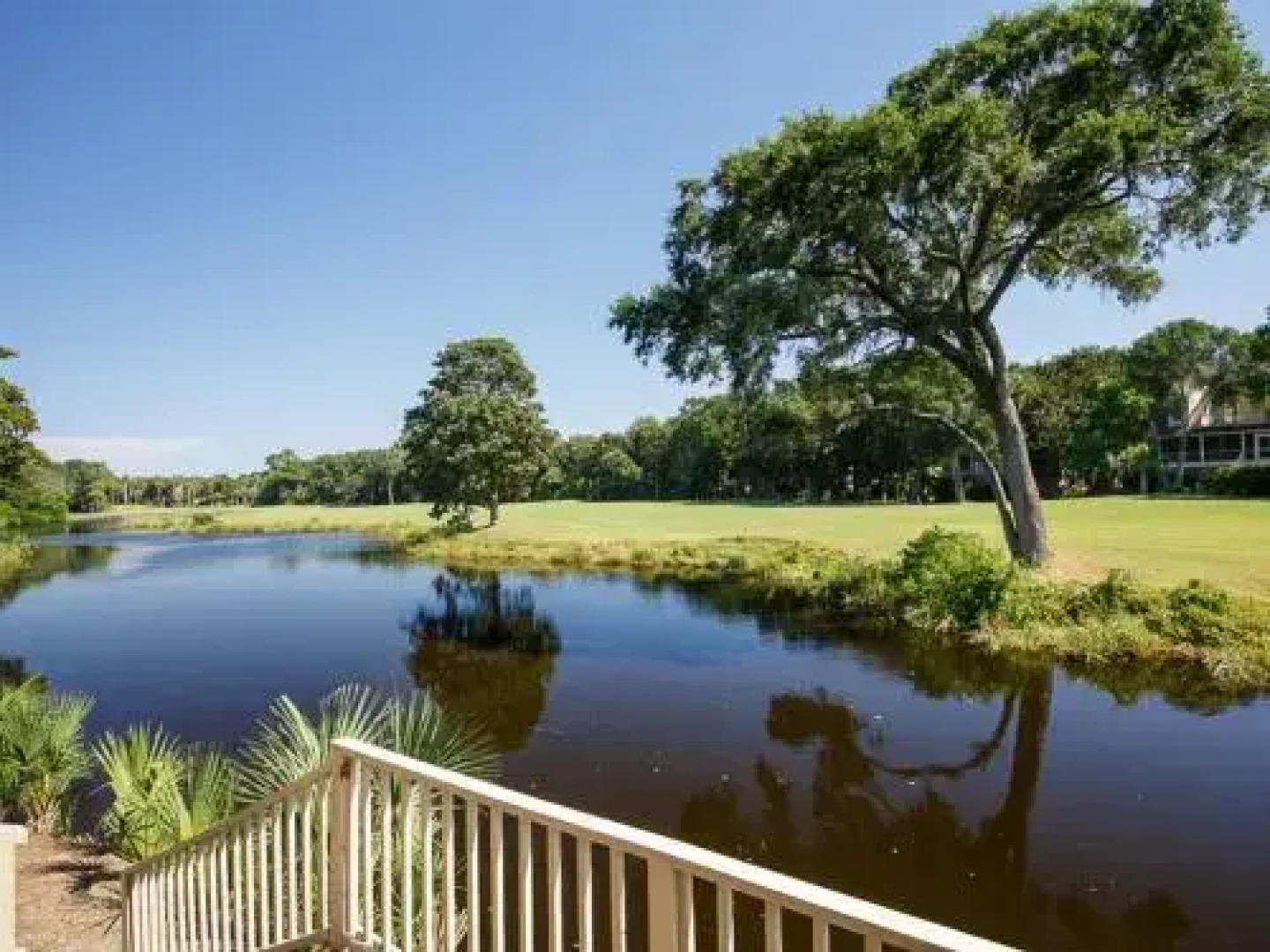 Turtle Point 4943 by RedAwning