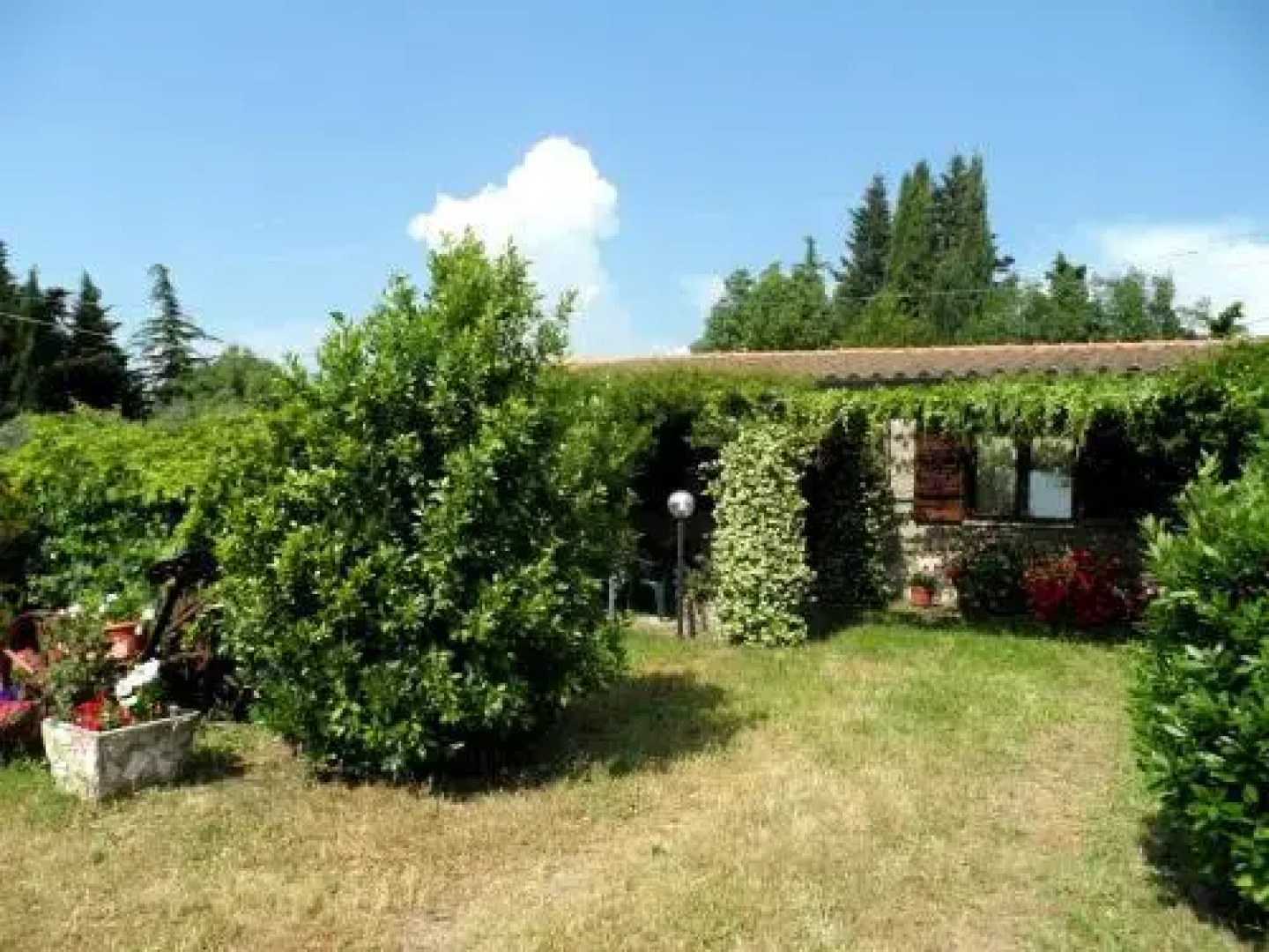 Agriturismo La Pergola