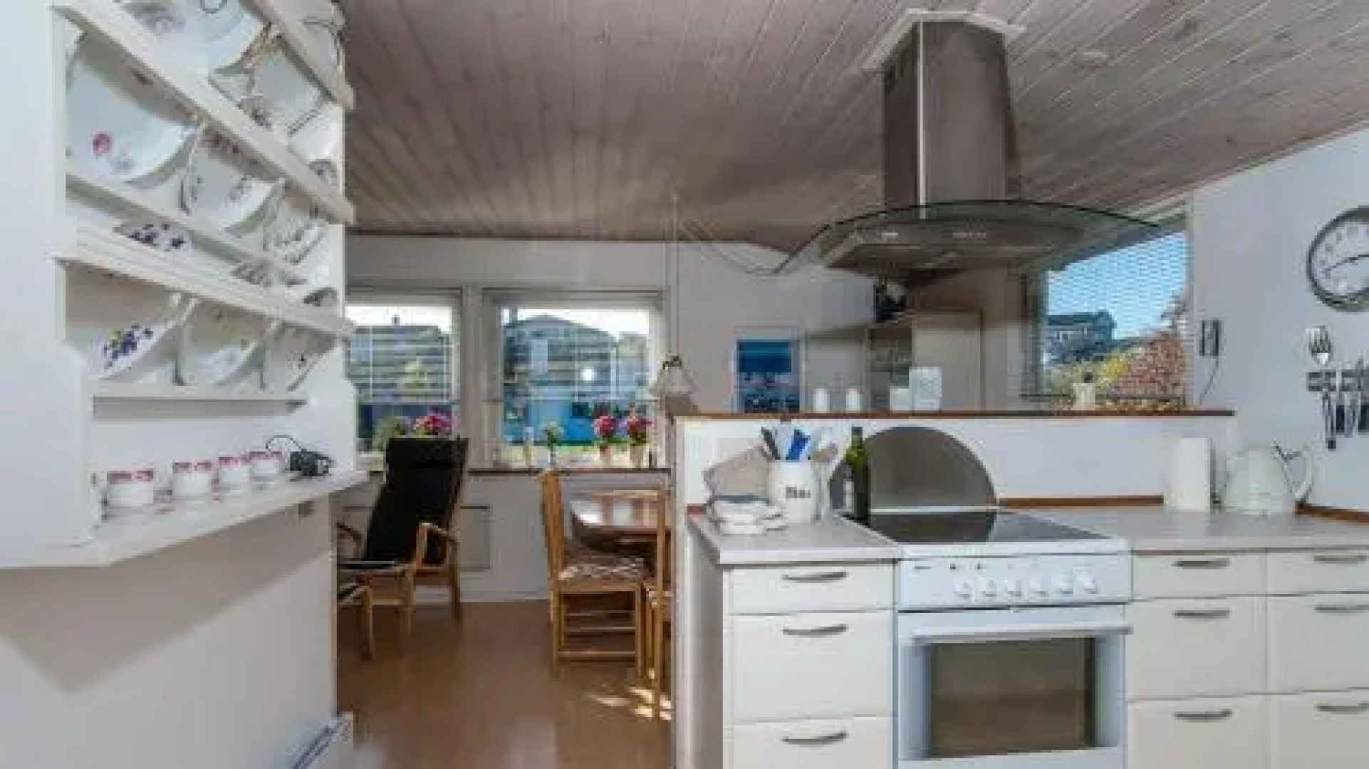 Anemone 14 Holiday House