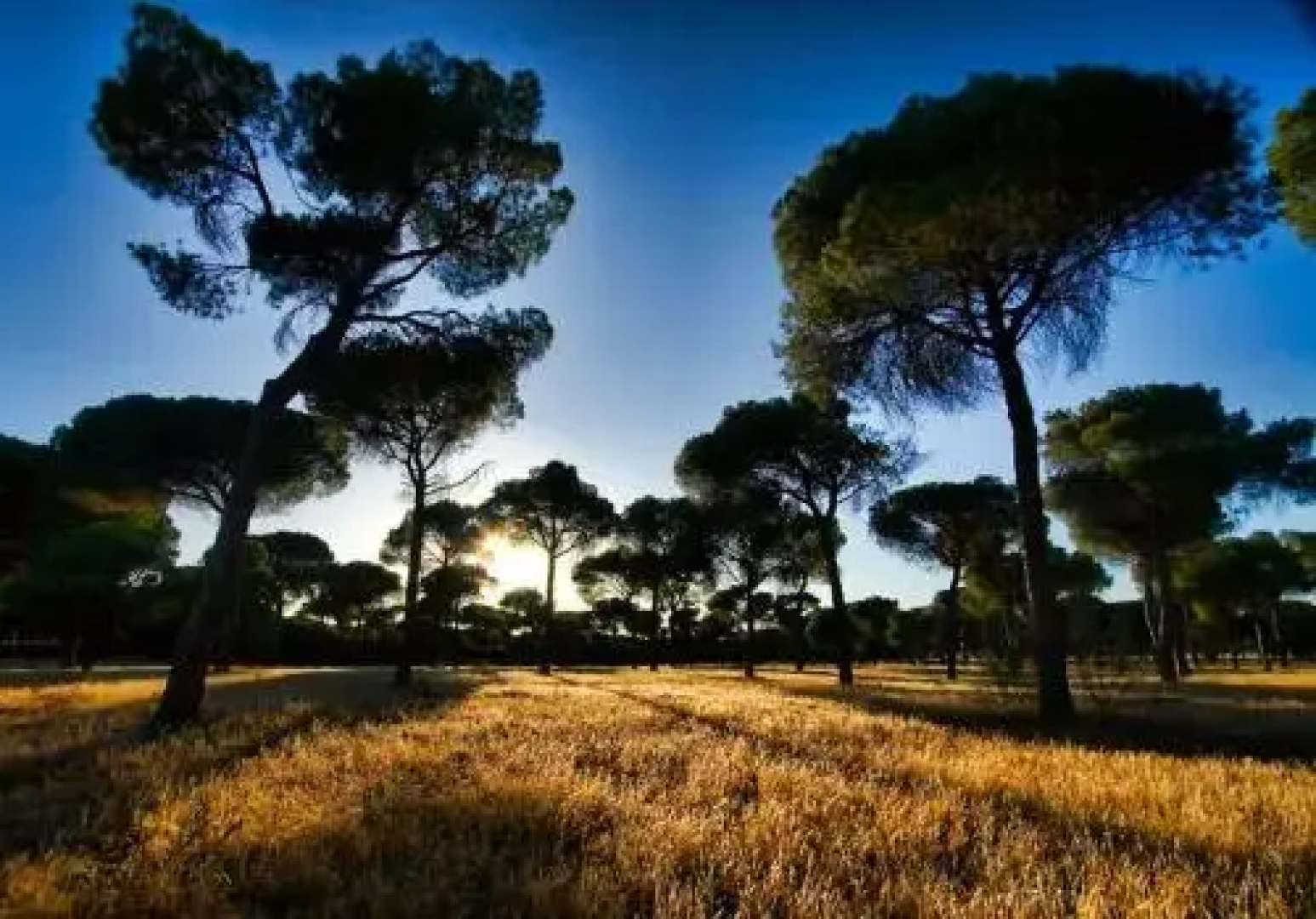 Casa Rural el Herrero de Pollos
