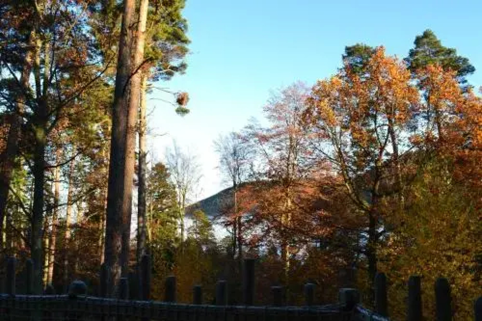 Domaine Hauts De Ribeauville