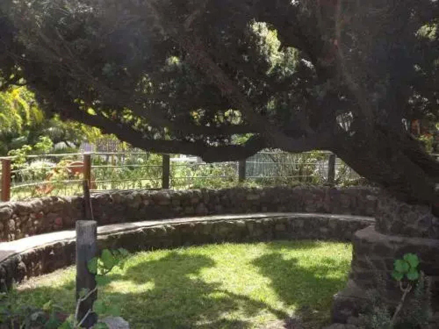 B&B Il Giardino Dacri