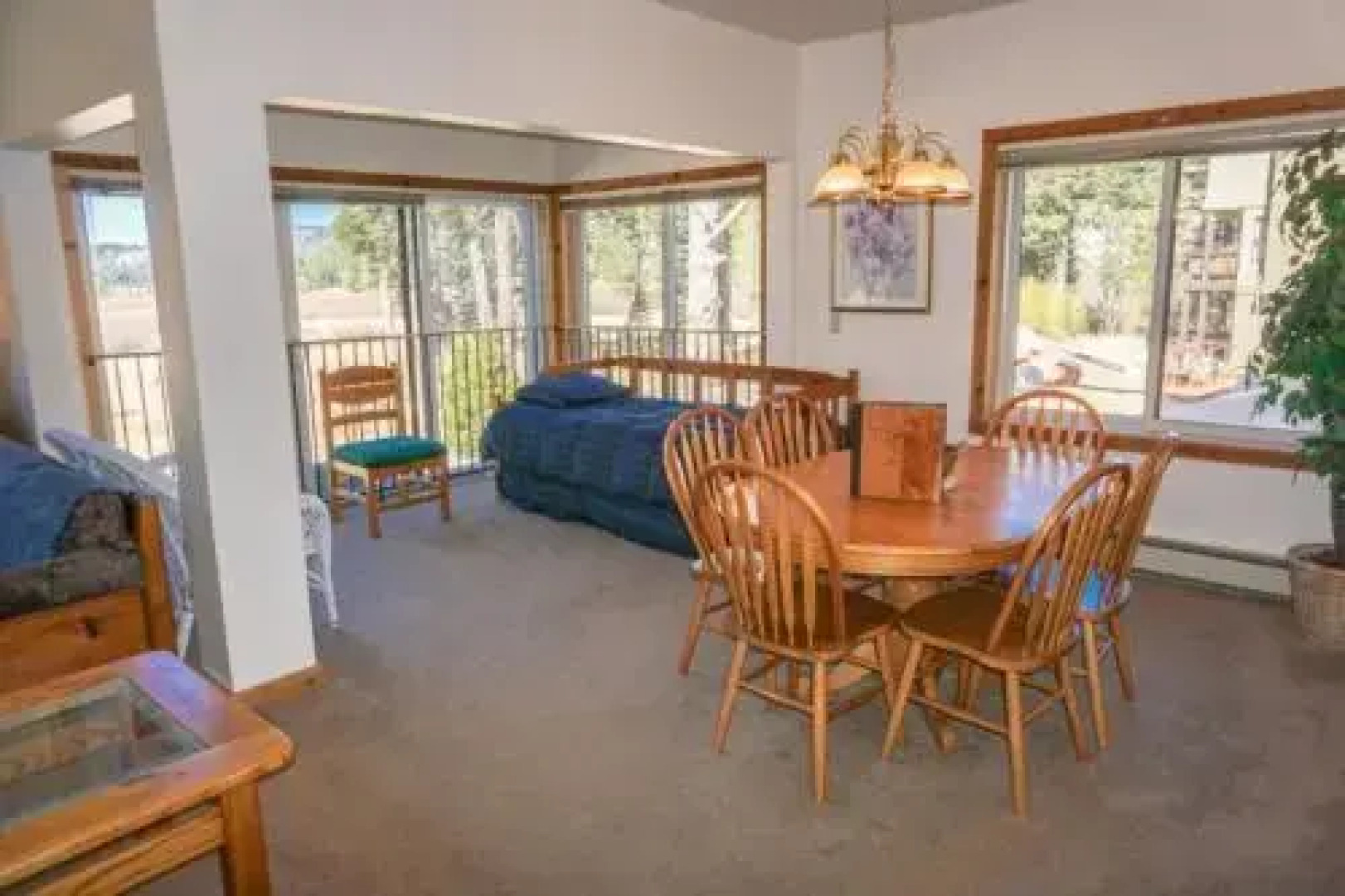 Sun Meadows 2 102 by RedAwning