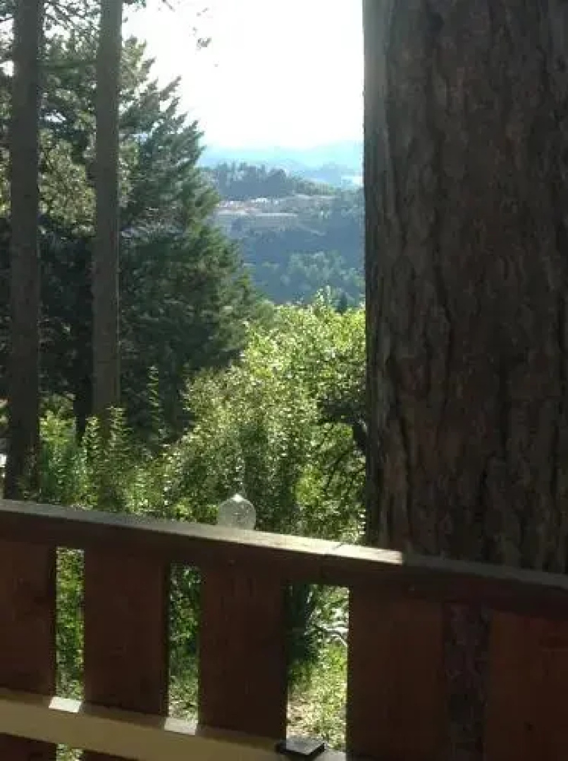 Camping Pineta