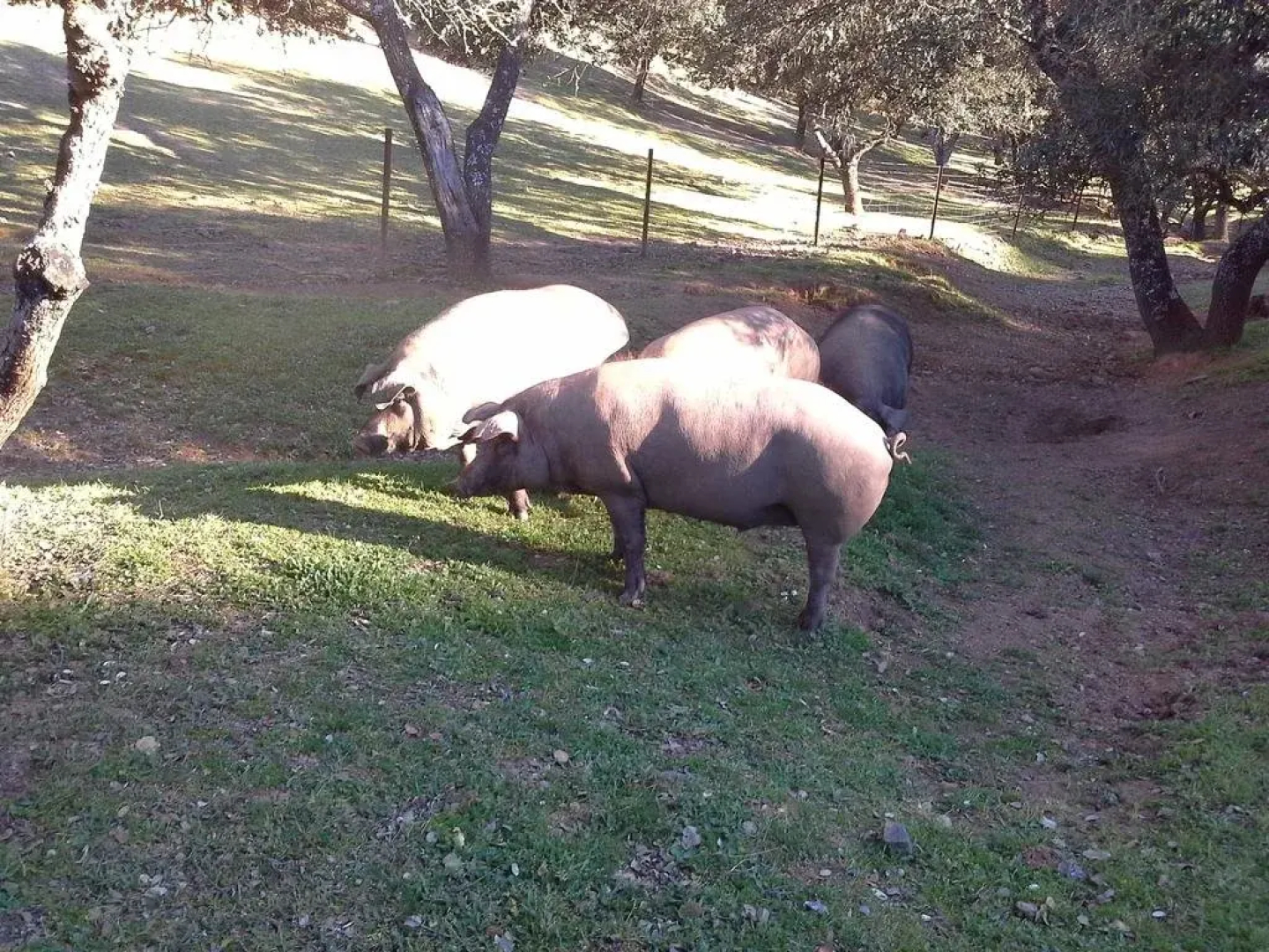 Casa Rural Riscos Altos