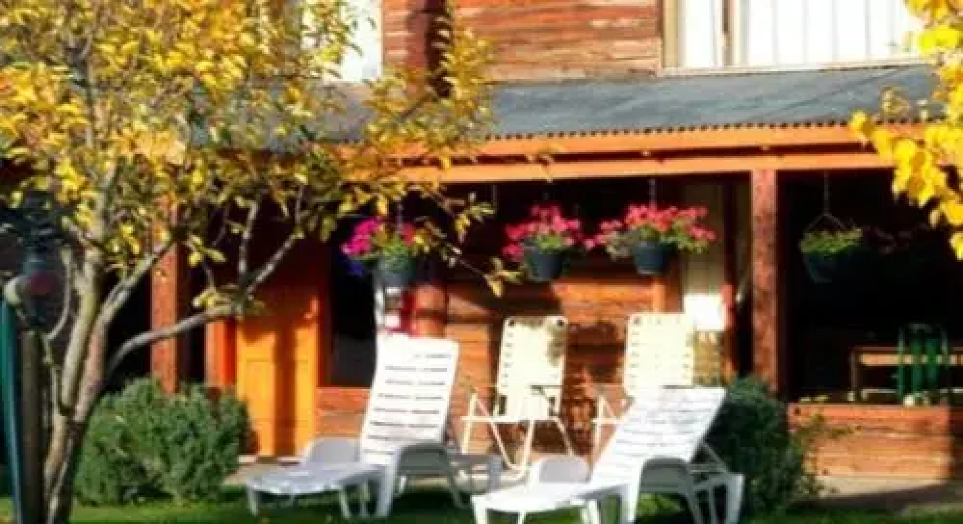 Cabaña los Ciruelos