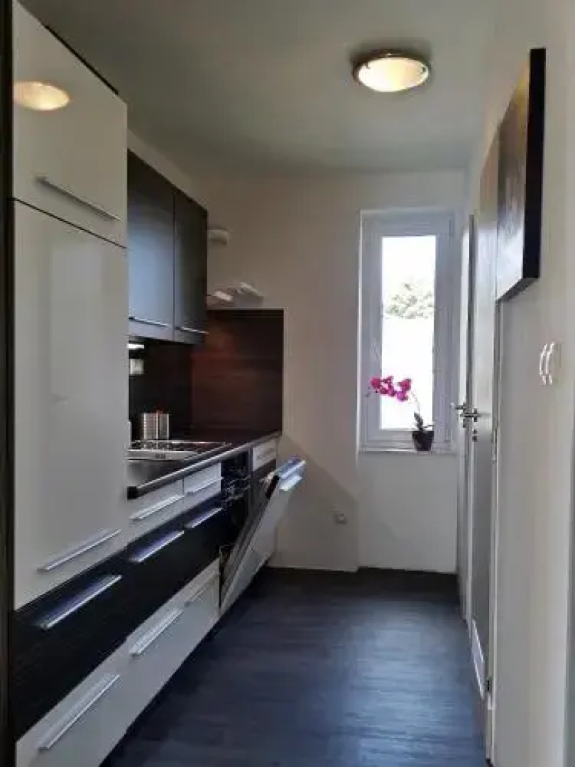 Apartmán U Labe