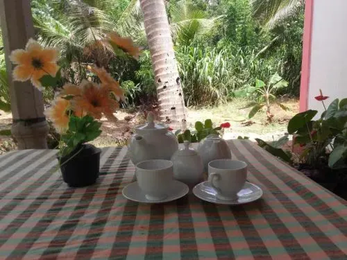 Sigiri Picaso Home Stay
