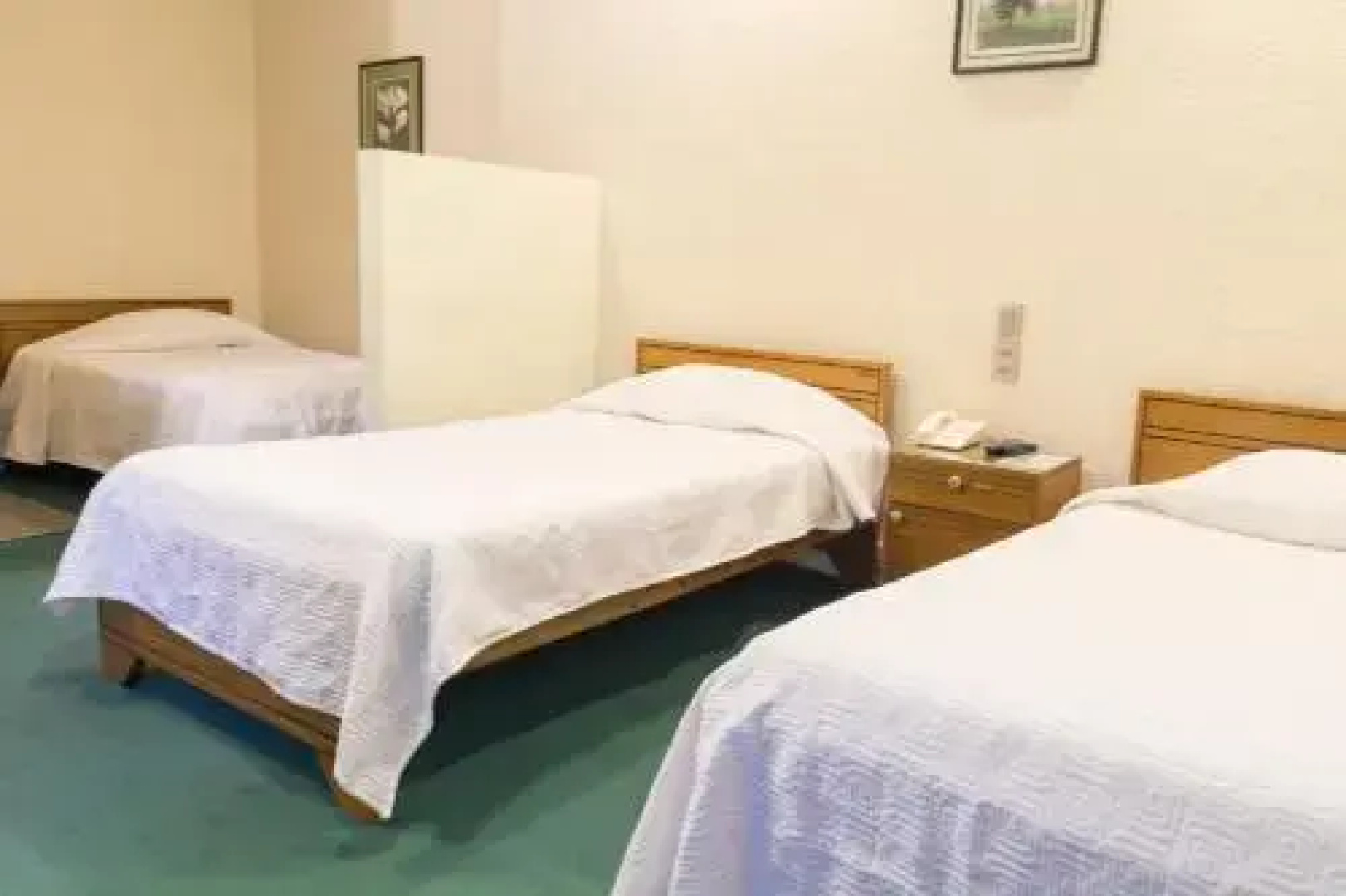 Hotel Terracentro