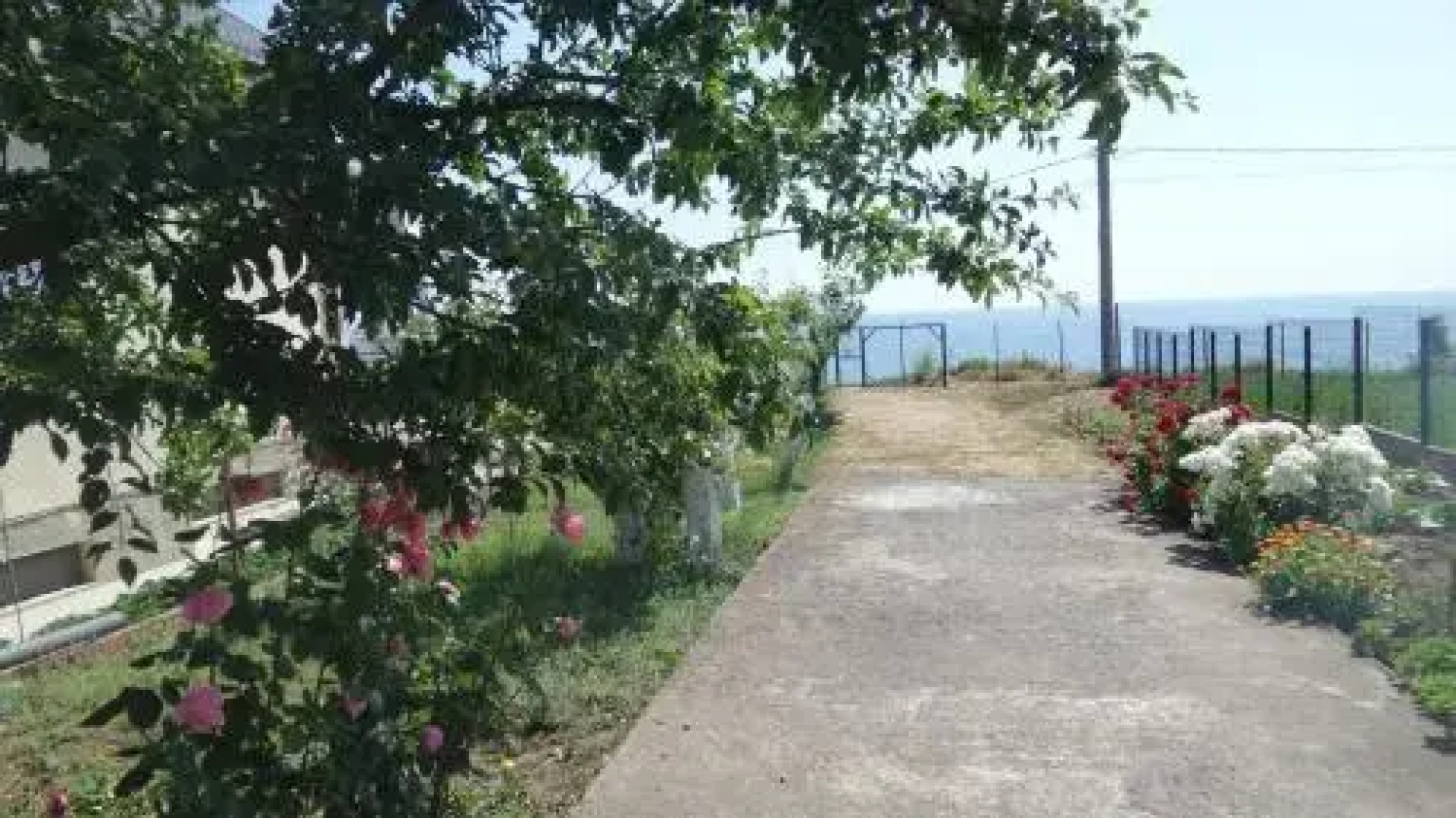Pensiunea Sapte Pini
