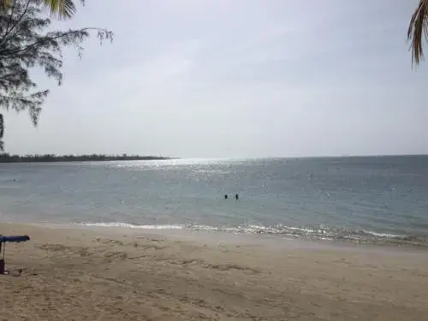 Luxury Apartment - El Dorado Club