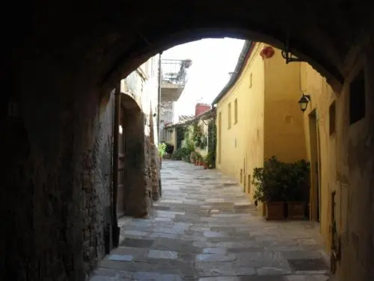Il Profferlo