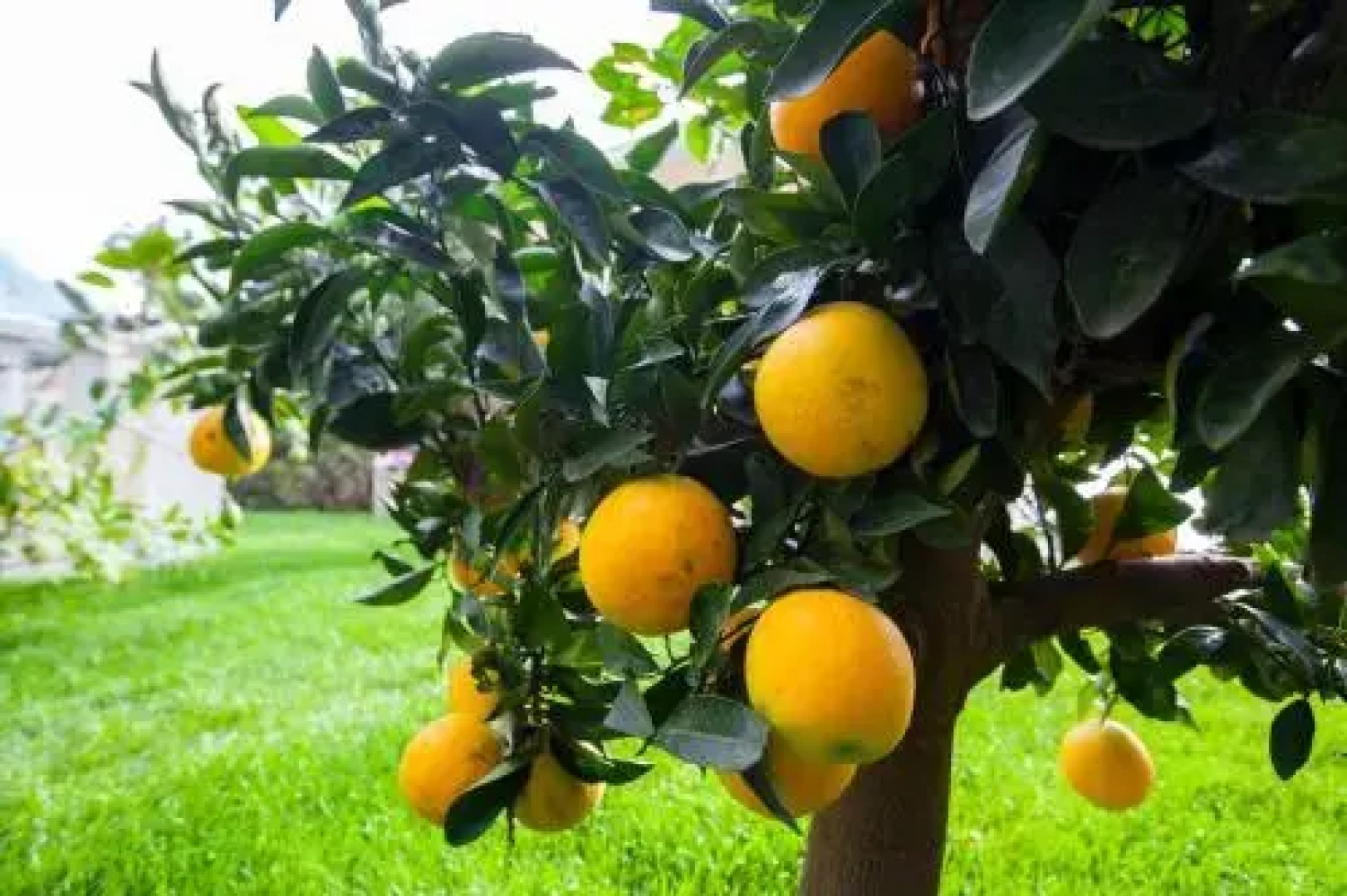 Guest house Villa Ana