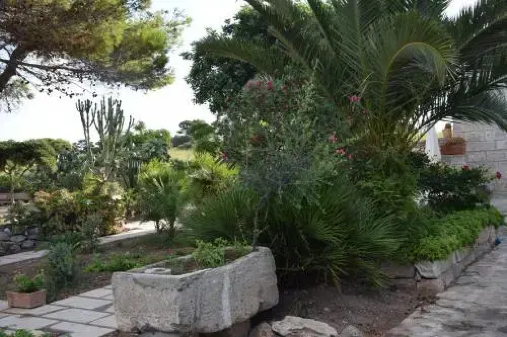 Appartamenti la Pinetina di Favignana