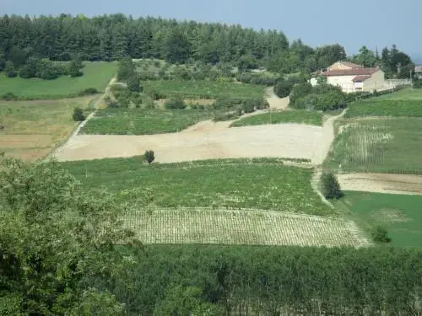 B&B Montalbano