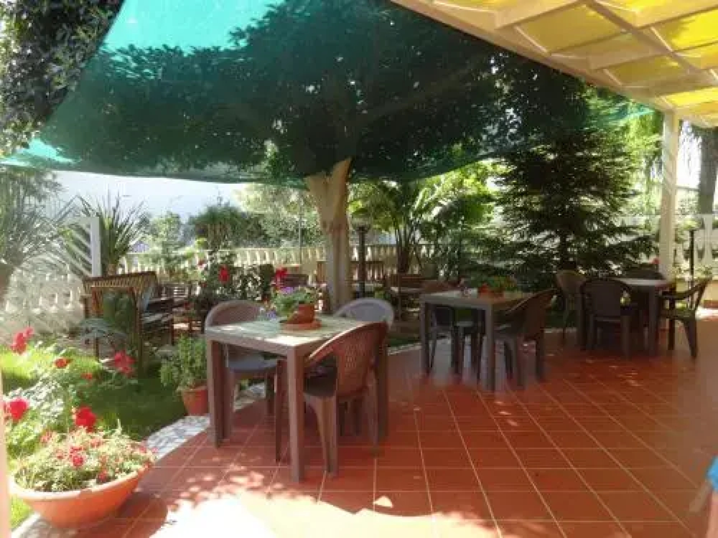 Il Vecchio Pescatore