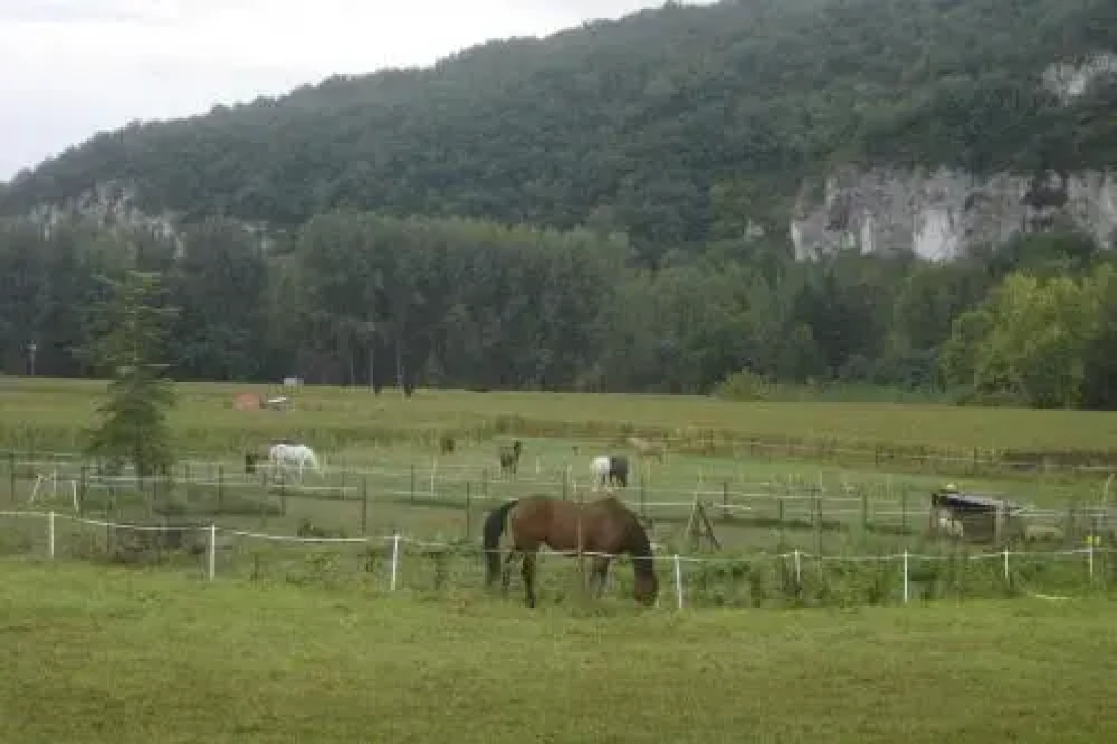 Paysannerie des Versanes