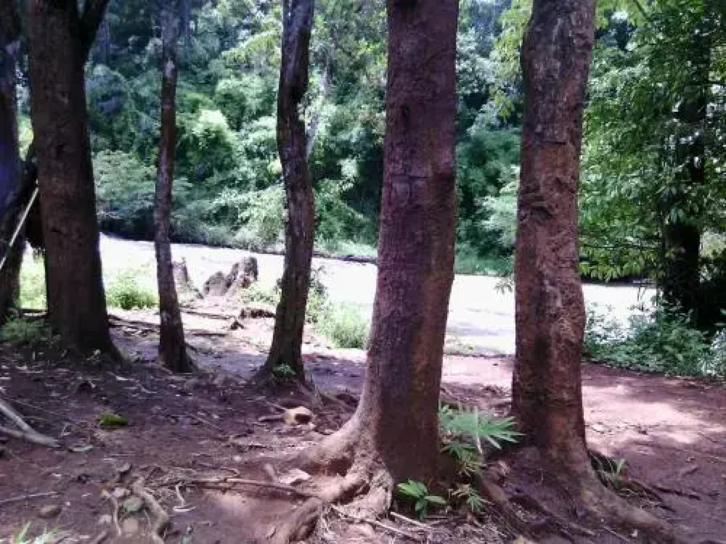 Tre Homestay