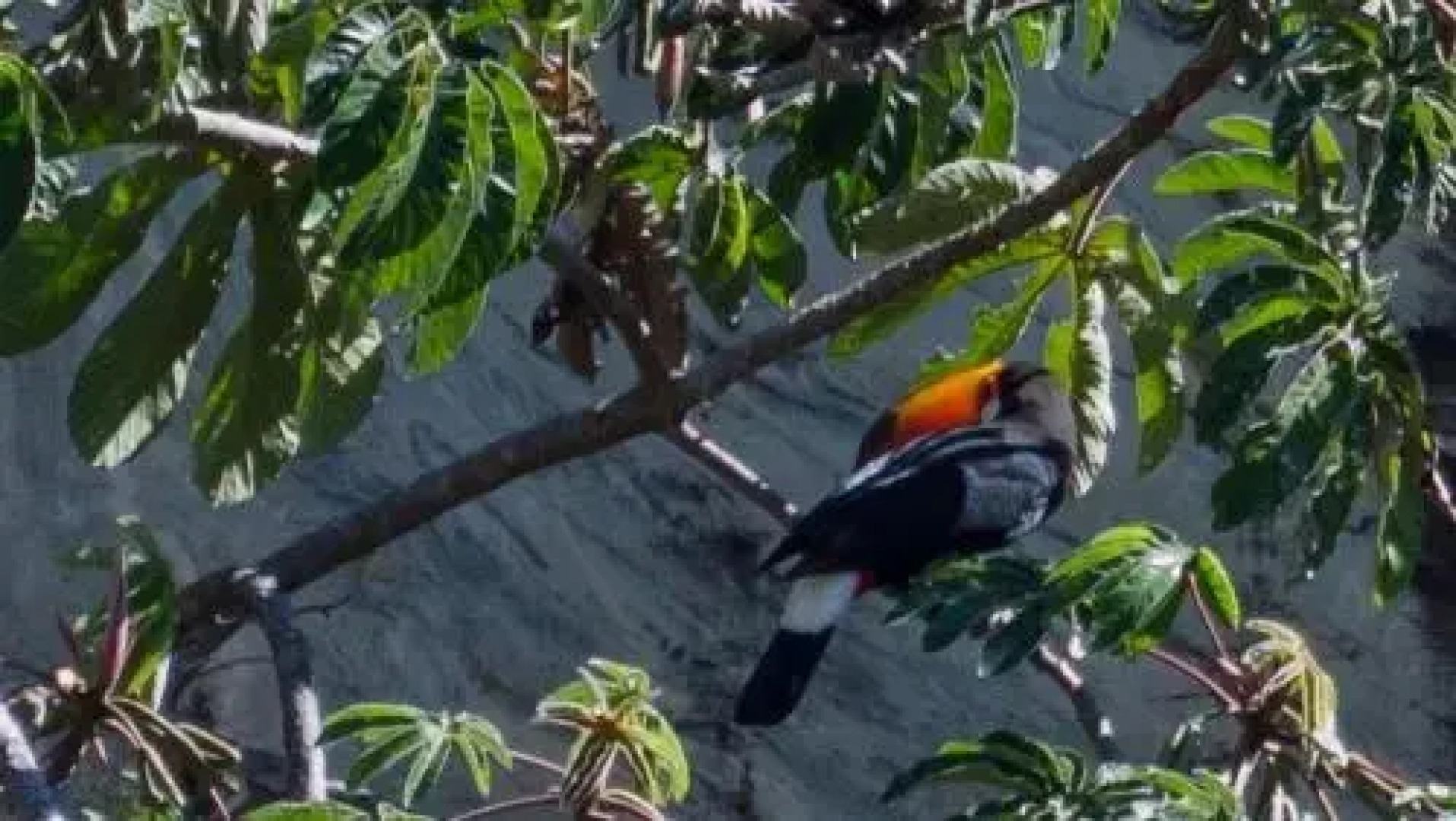 Pousada Grande Pedreira