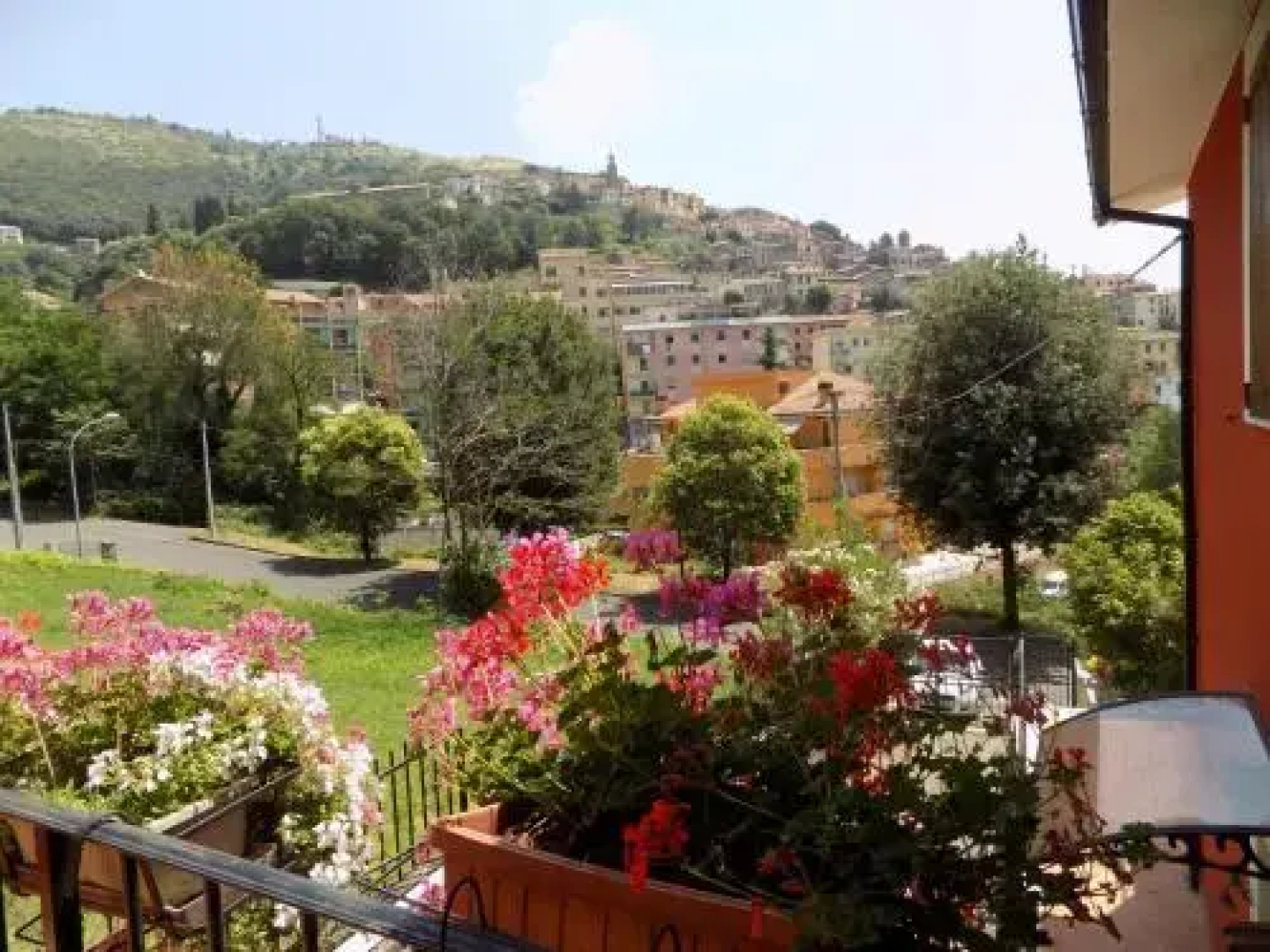 Il Giardino Delle Camelie BB