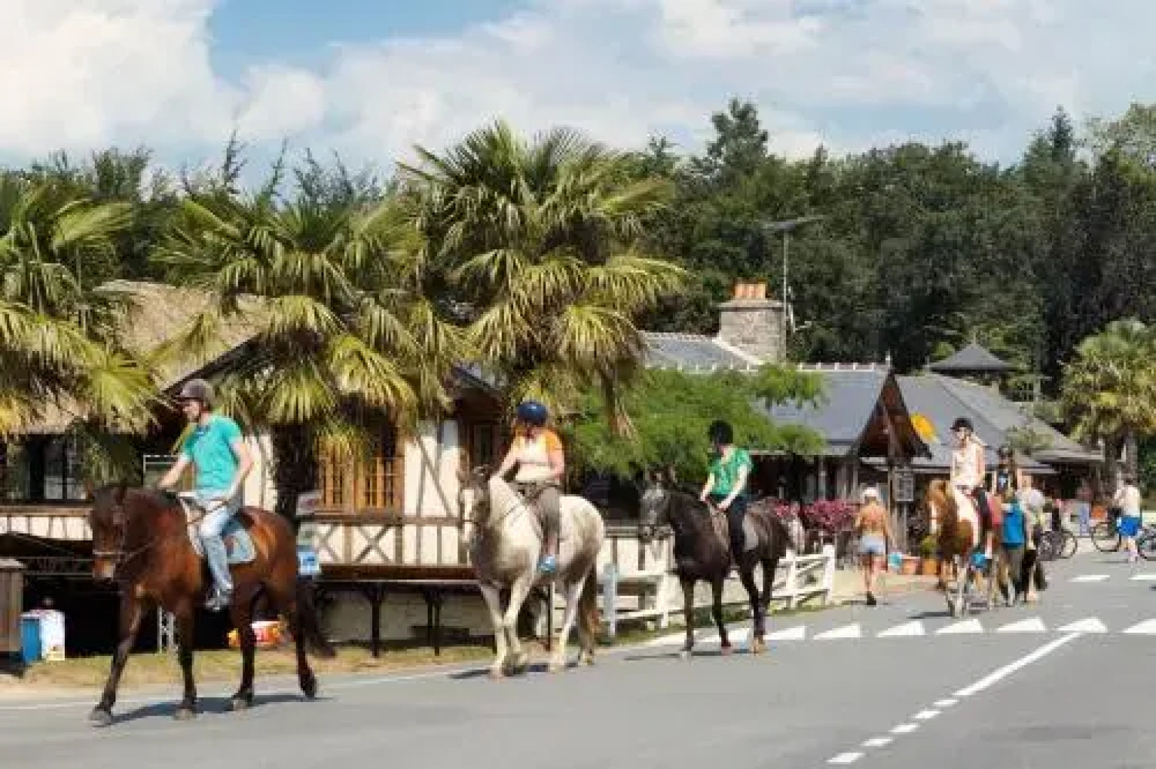 Safari Tent Holidays