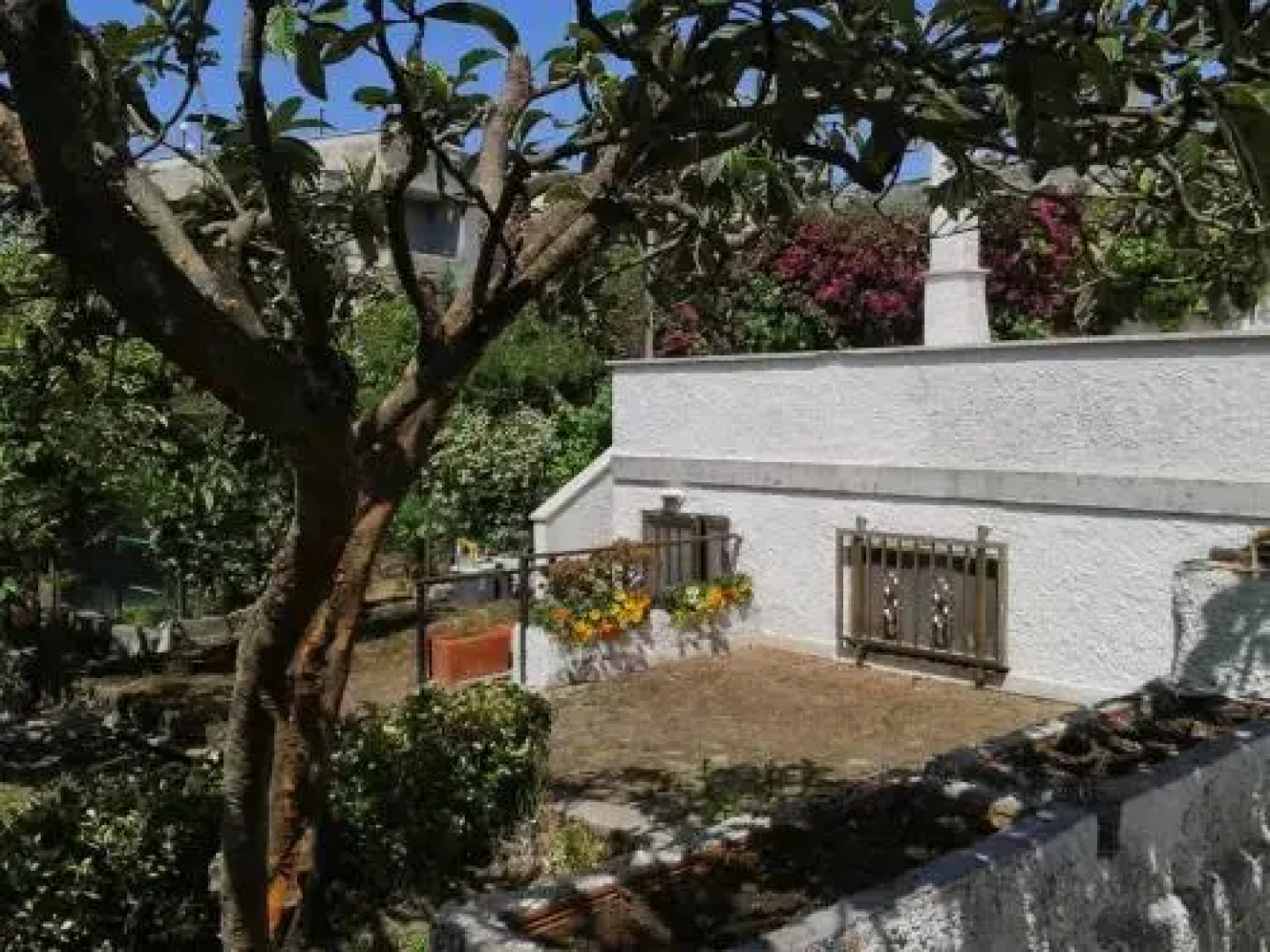 Santa Marinella Luna