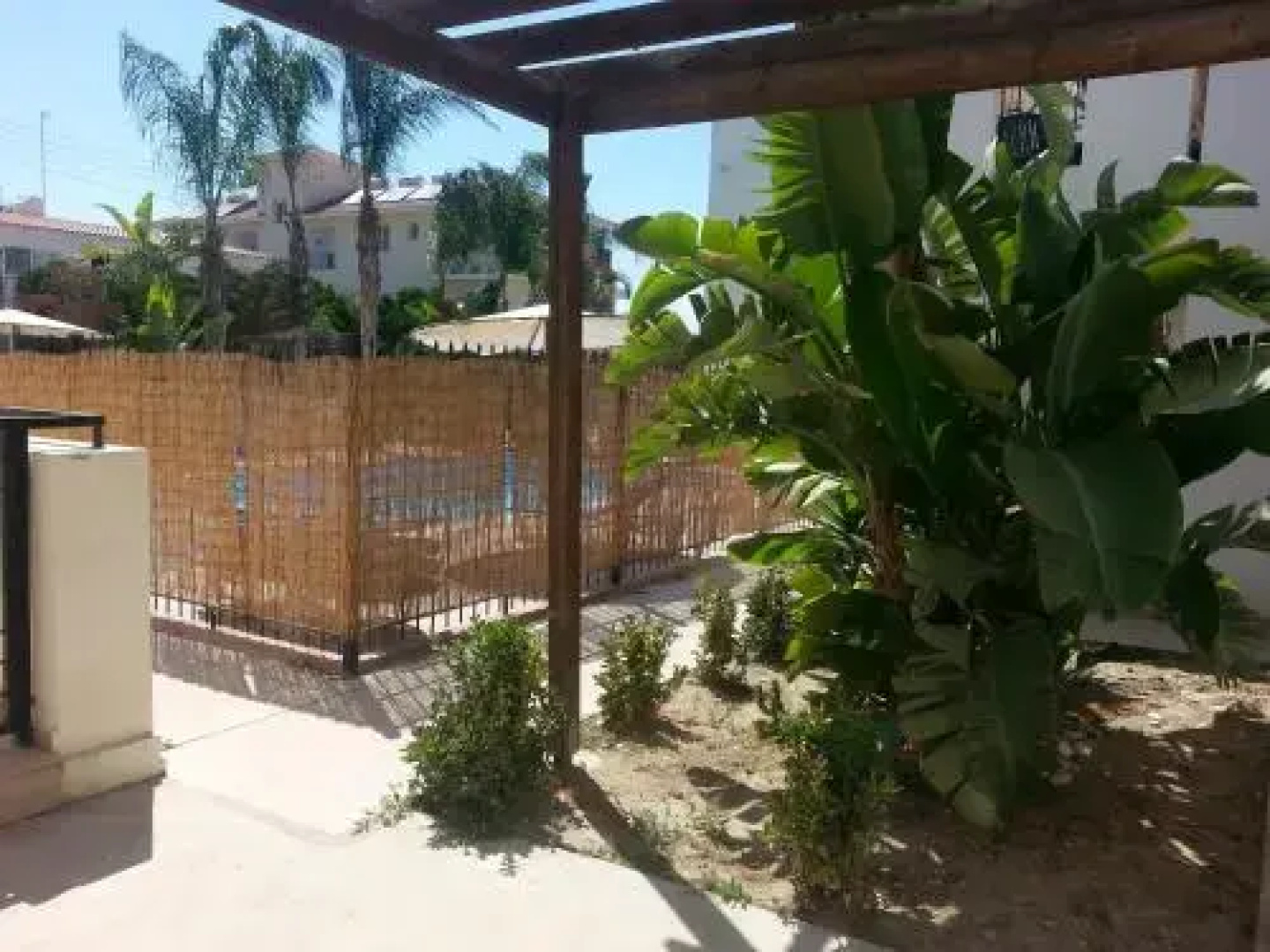 Orange Grove
