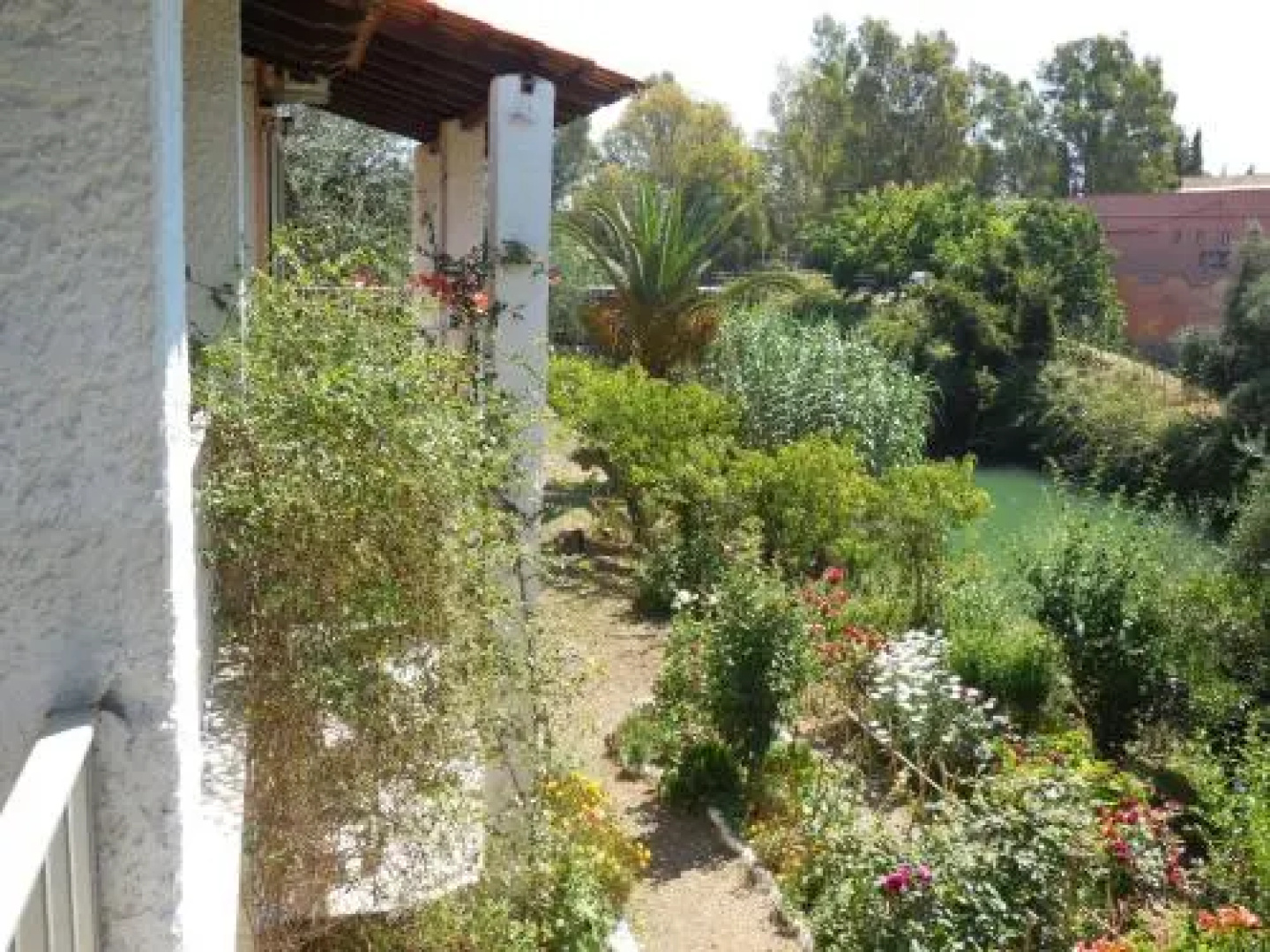 Petros Studios