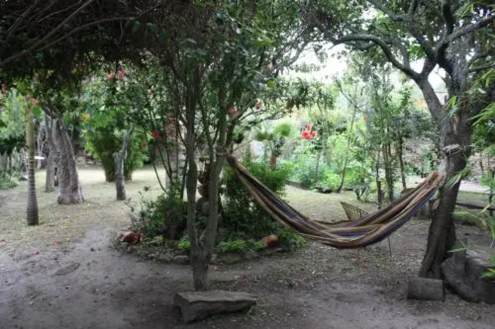 Guaque Hostel