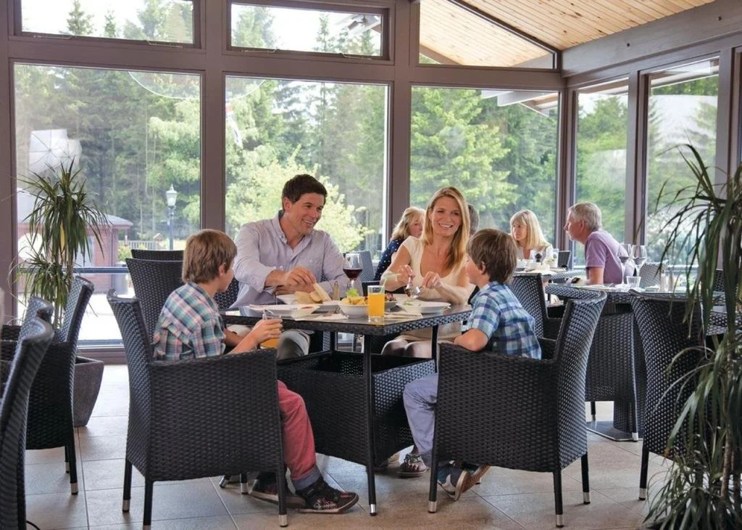 Darwin Forest Country Park