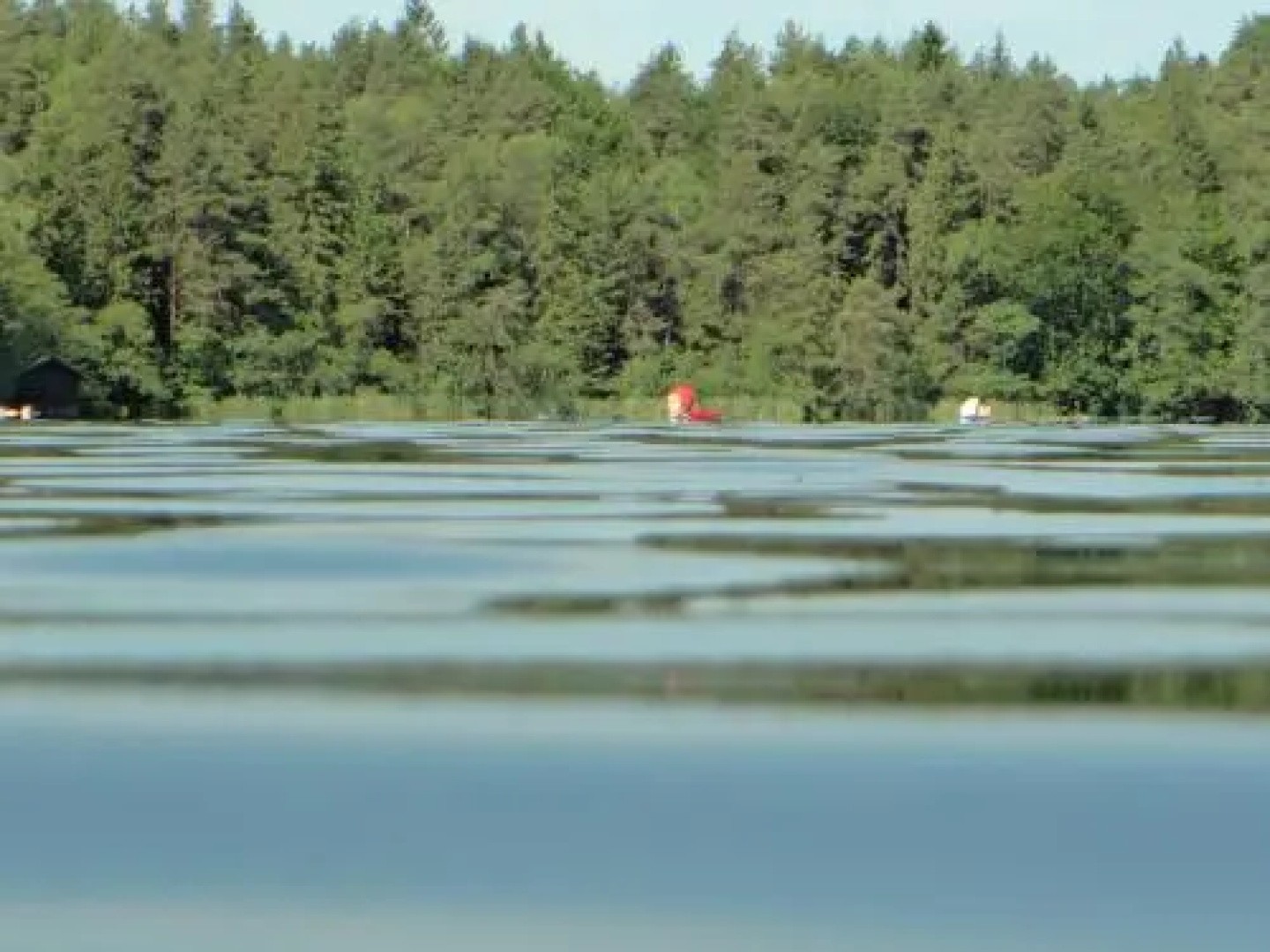 Seerose-Saissersee